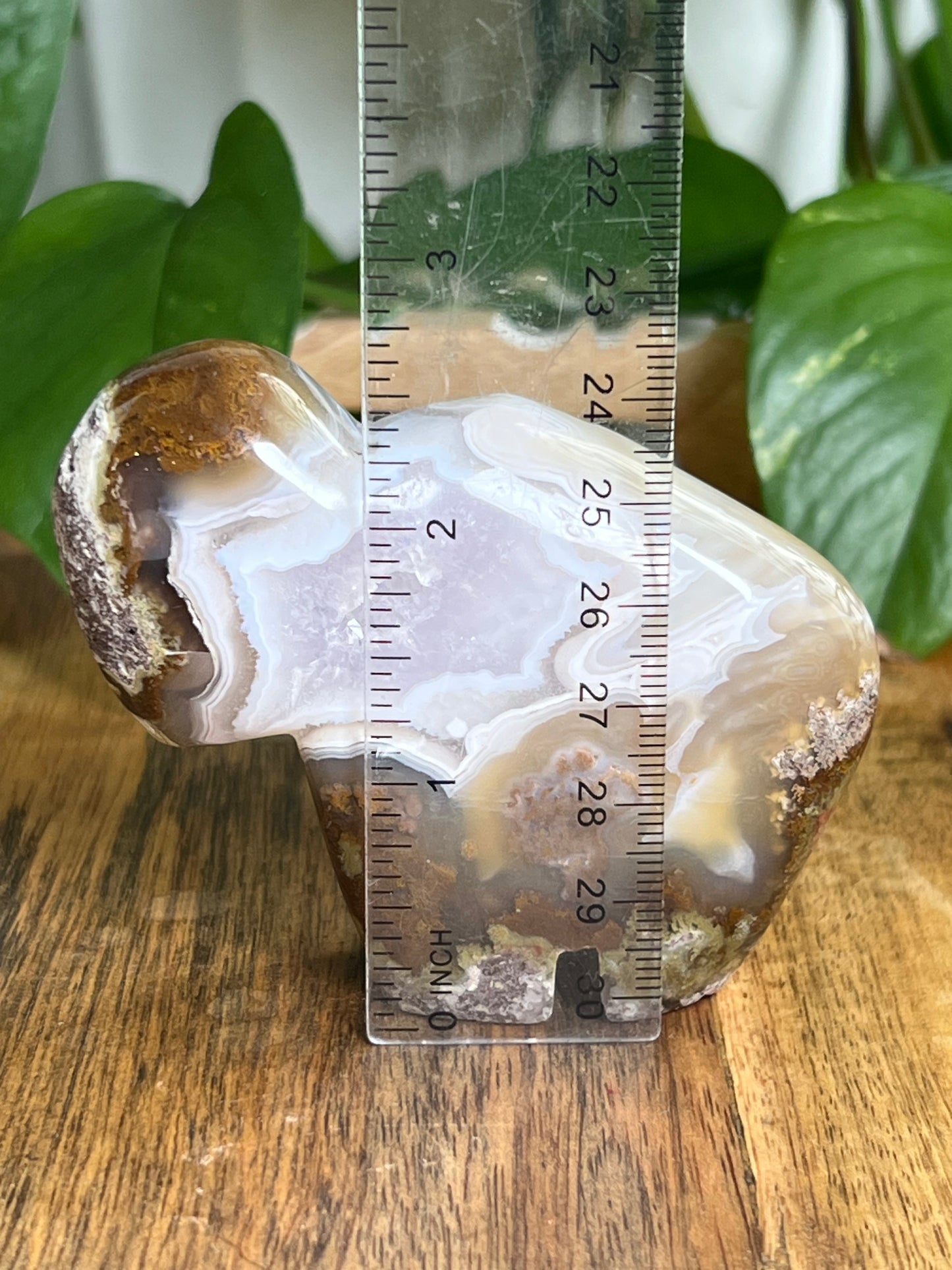 Scenic Moss Agate Buffalo NY