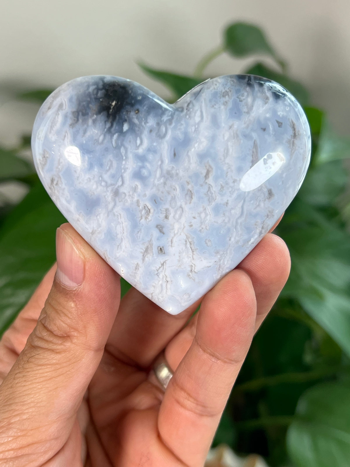 Blue Plume Agate Small Hearts