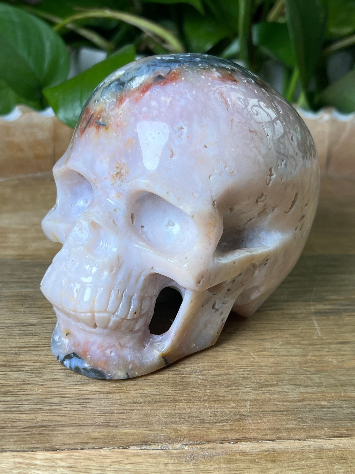Rainbow Plume Agate Skull