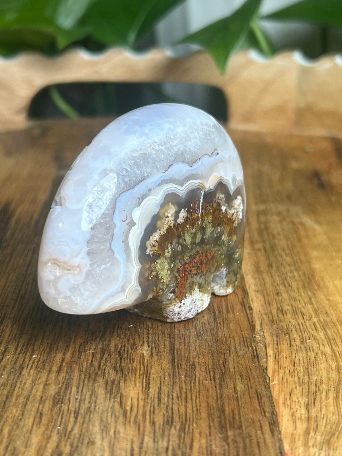Scenic Moss Agate Bear BX