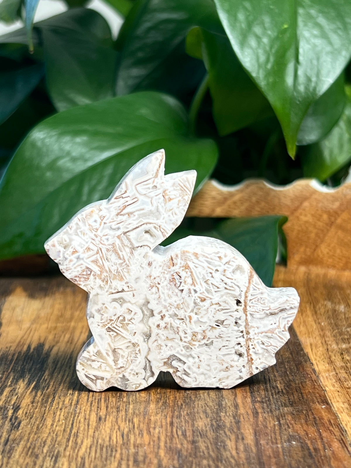 Tube Agate Bunnies
