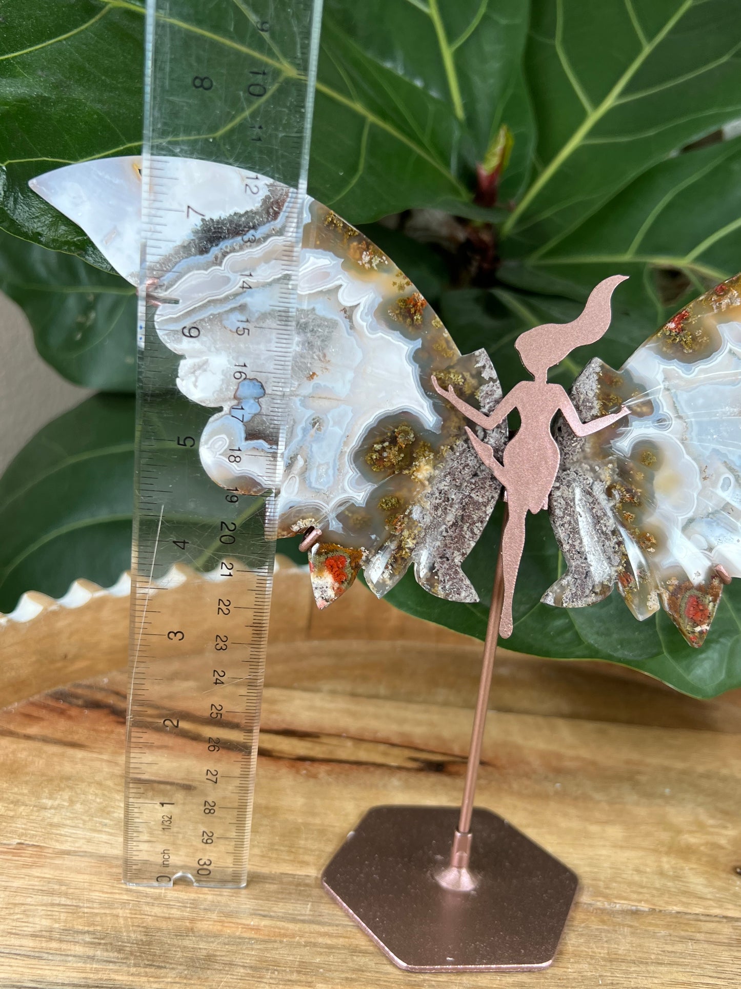 Scenic moss agate wings