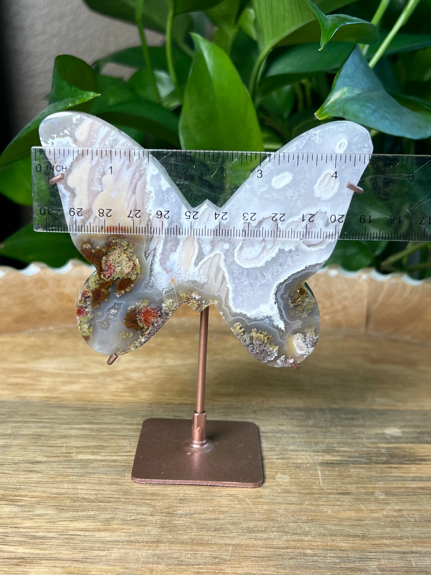 Scenic Moss Agate Butterfly