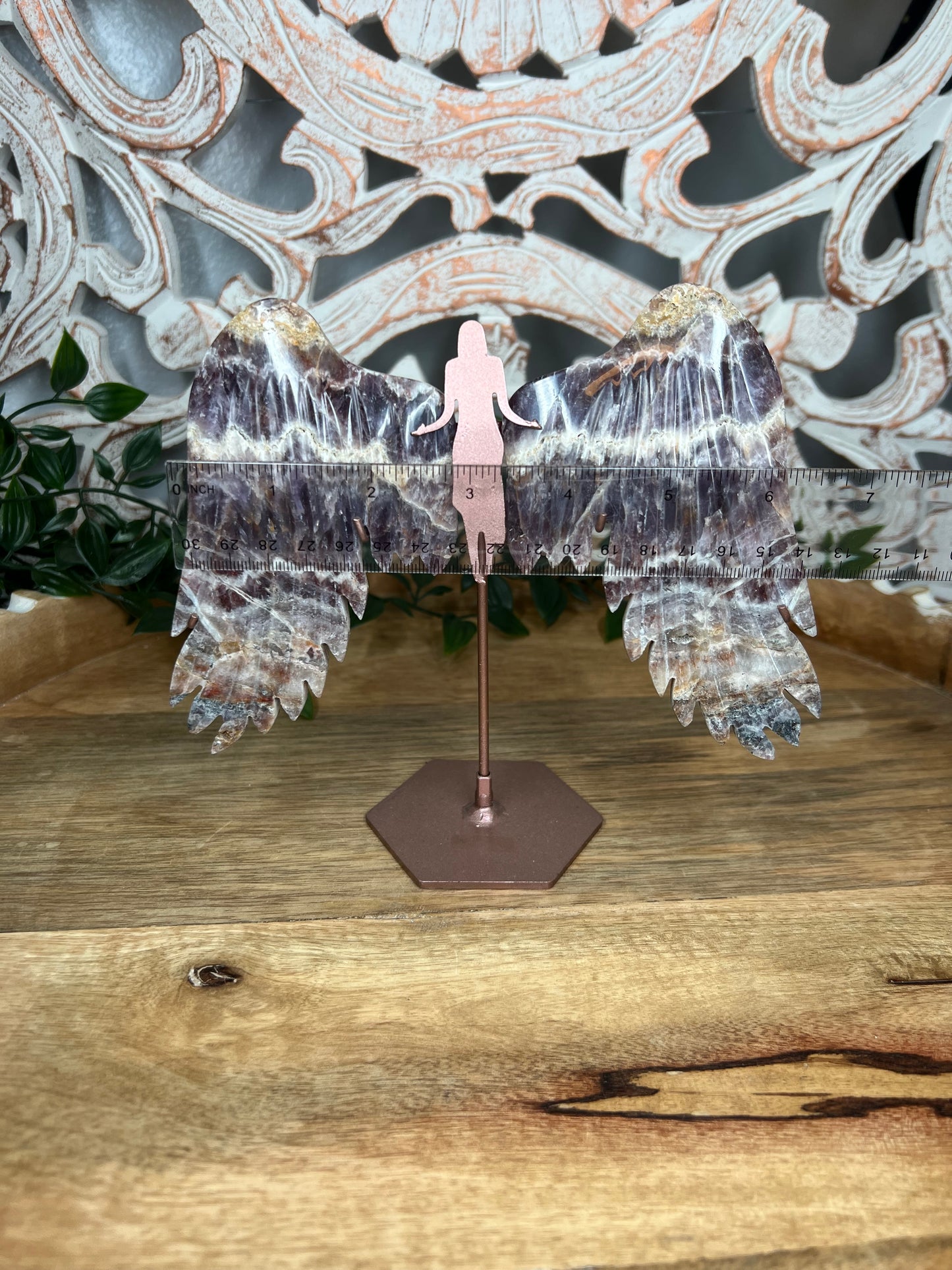 Indonesian Amethyst Wings