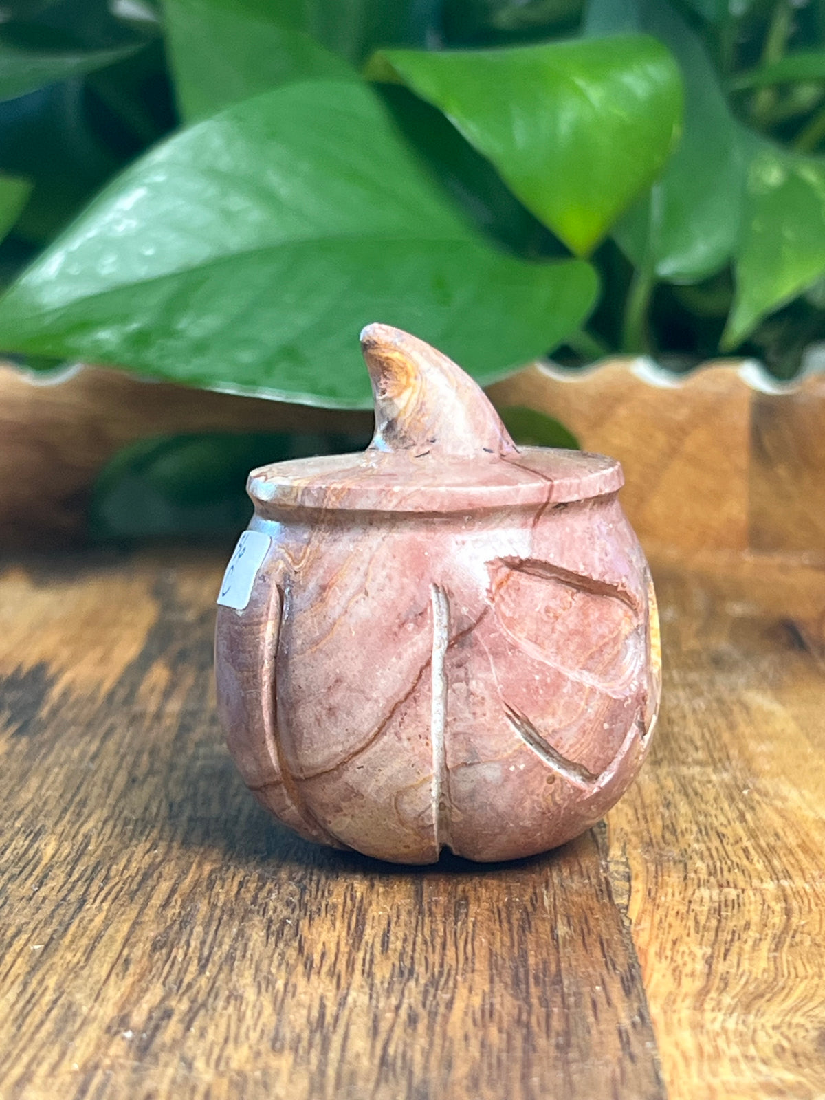Pink Polycrome Pumpkin: C