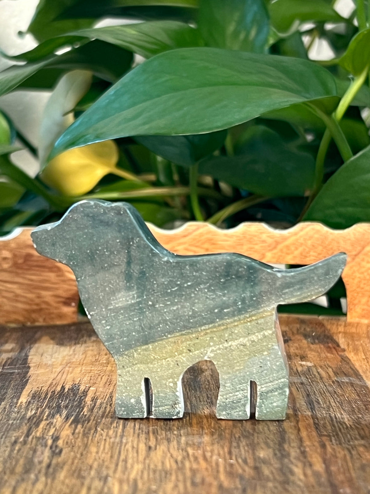 Blue Green Jasper Dogs