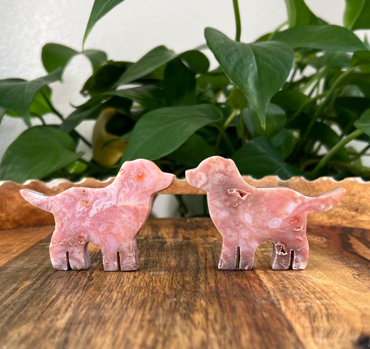 Pink Carnelian Dogs