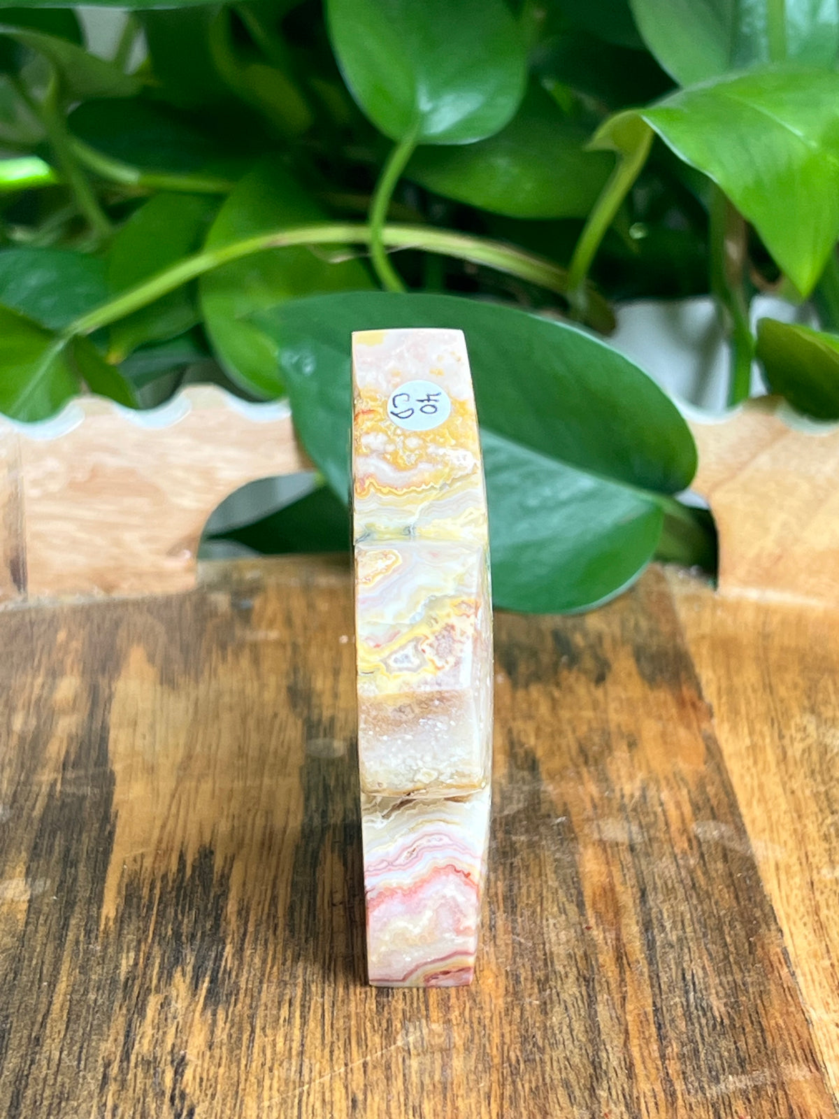 Crazy Lace Agate Flower: CD