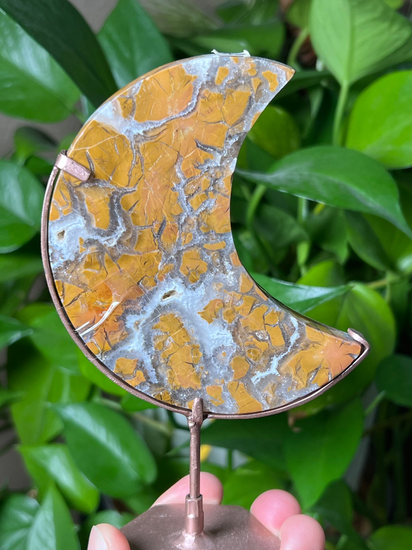 Brecciated Jasper Moon