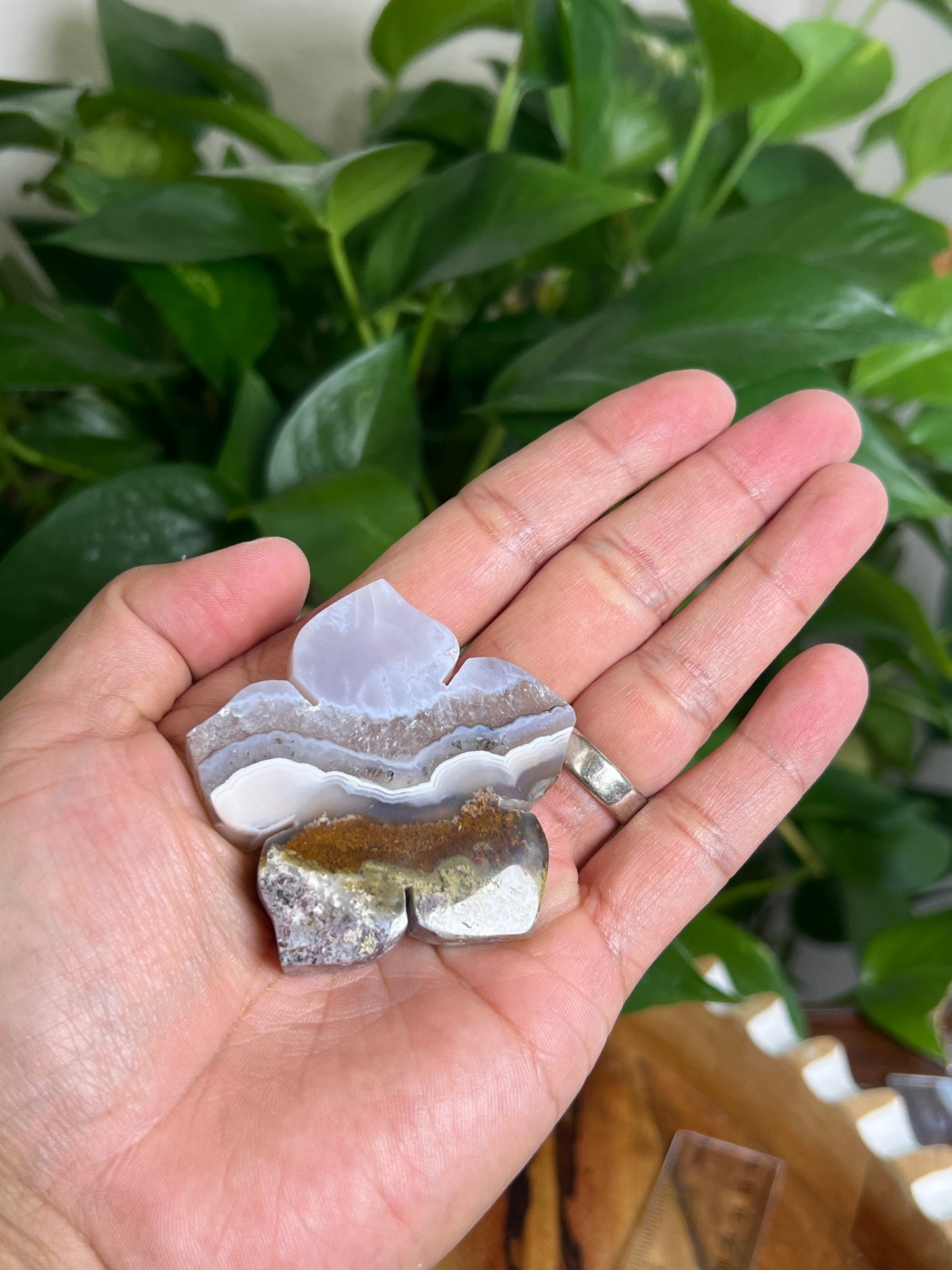 Scenic Moss Agate Flower Xi
