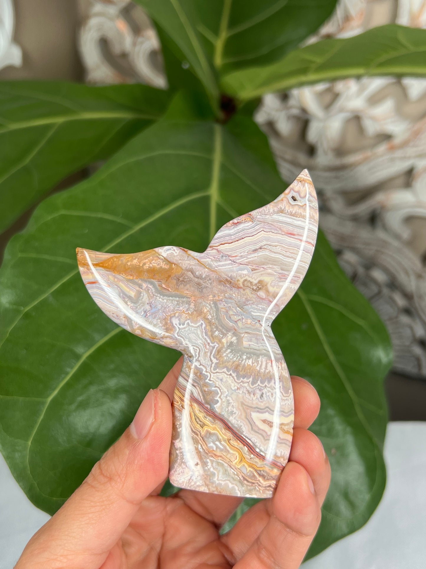 Crazy Lace Agate Tail