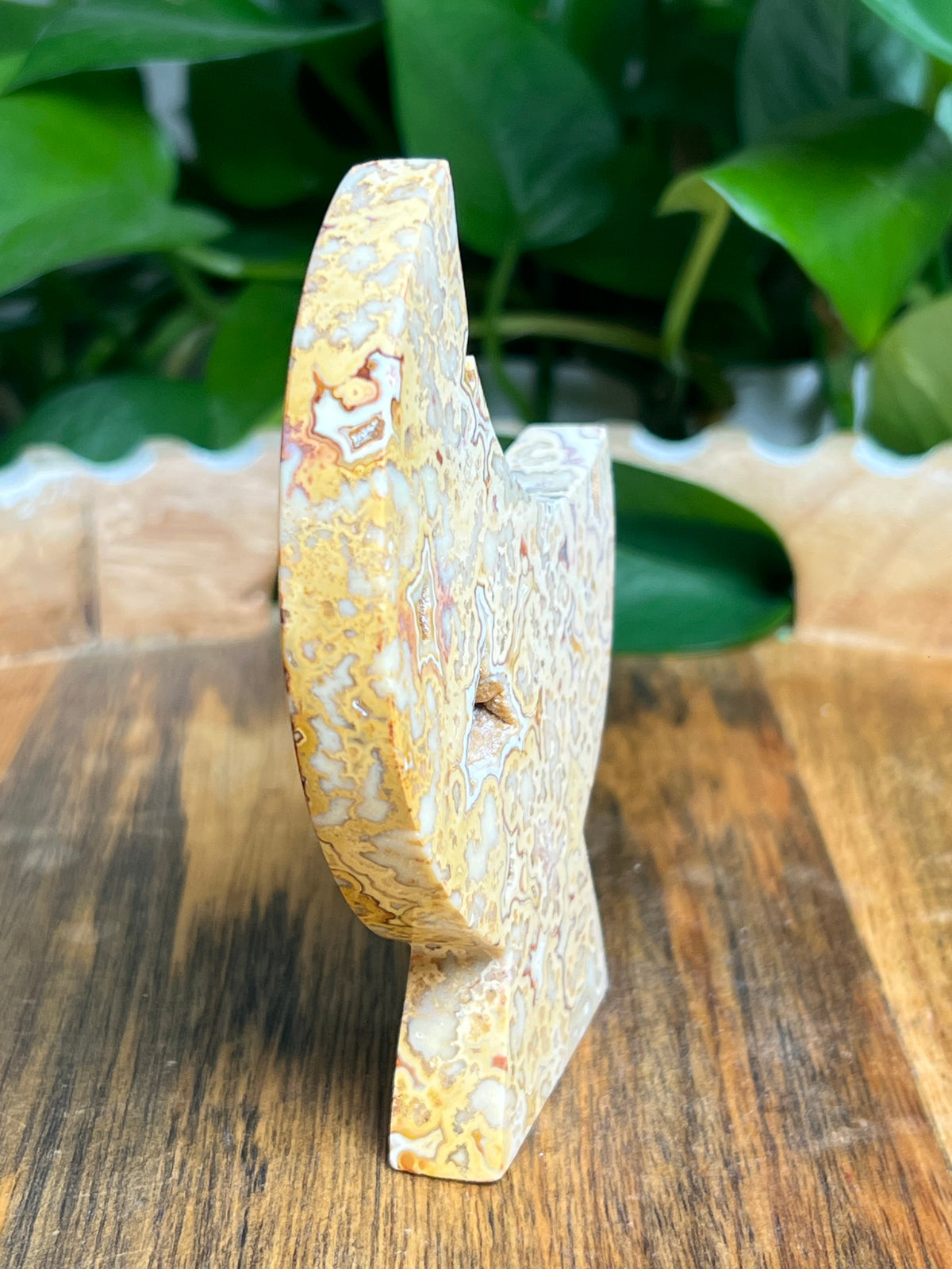 Crazy Lace Agate Self Standing Moon: DR