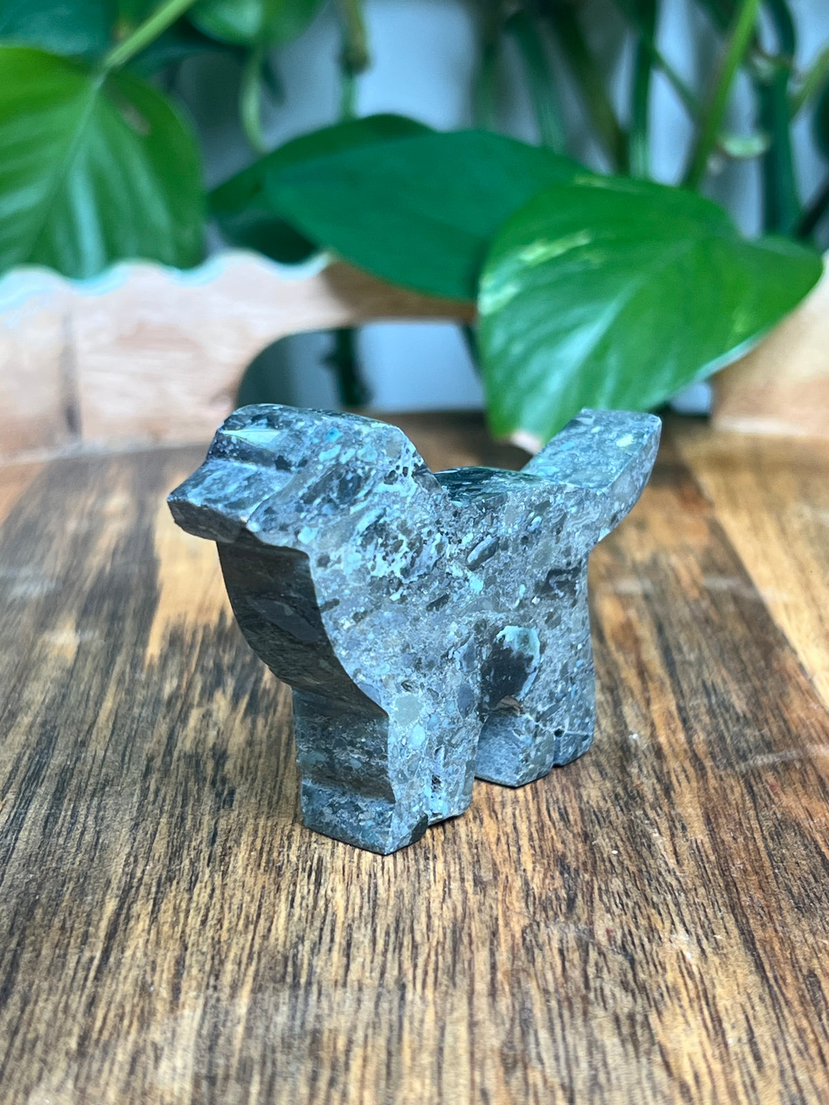 Blue Green Jasper Dog: BK