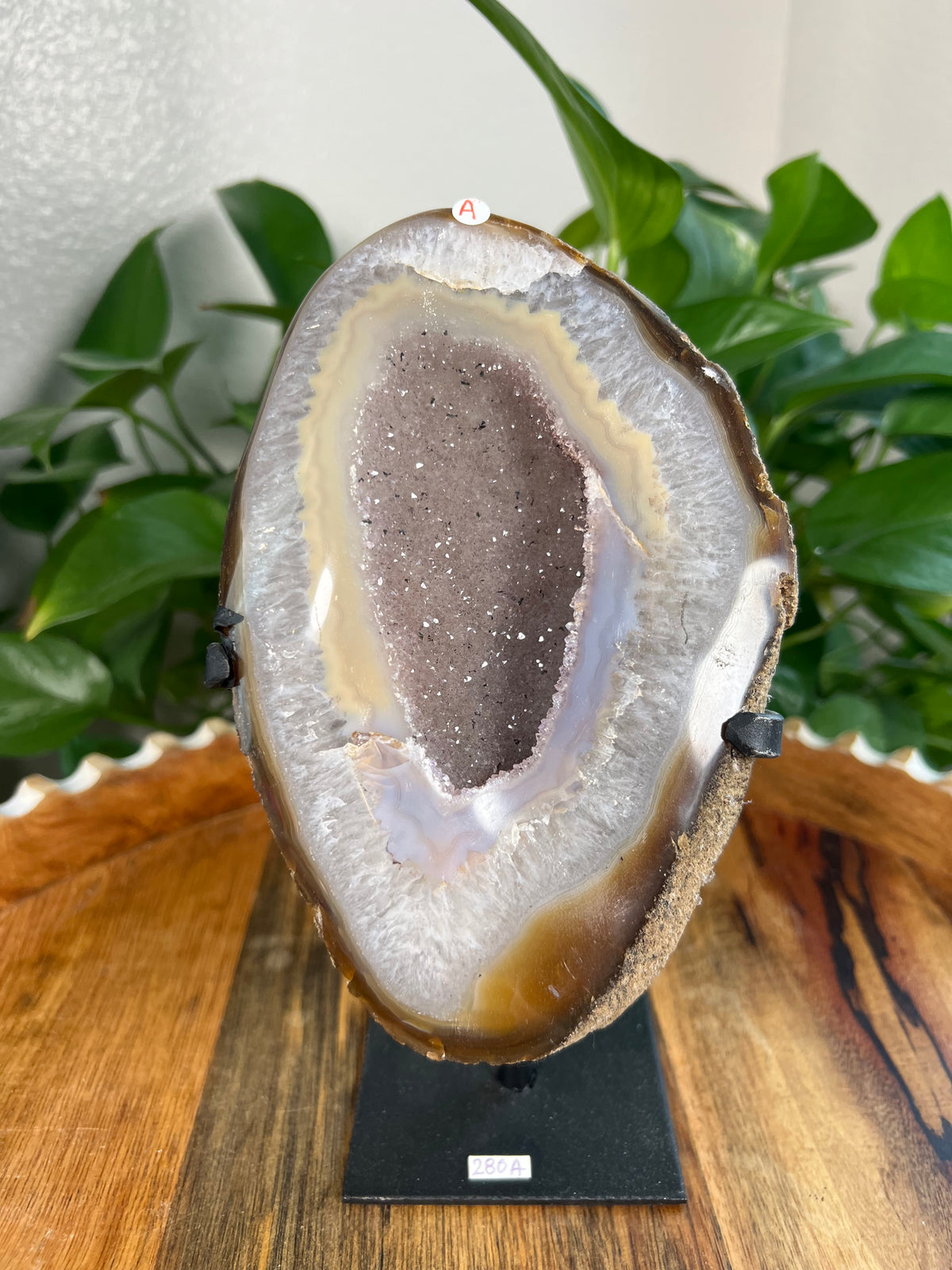Brazilian Druzy Agate: Ai