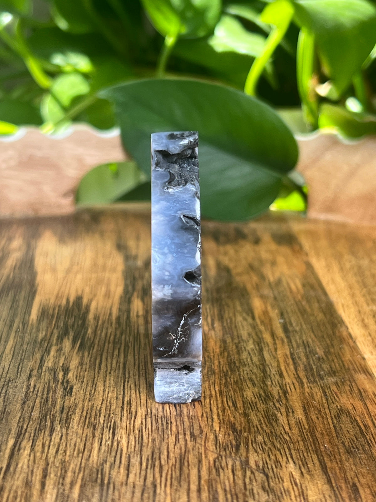 Blue Plume Agate Fairy: PH