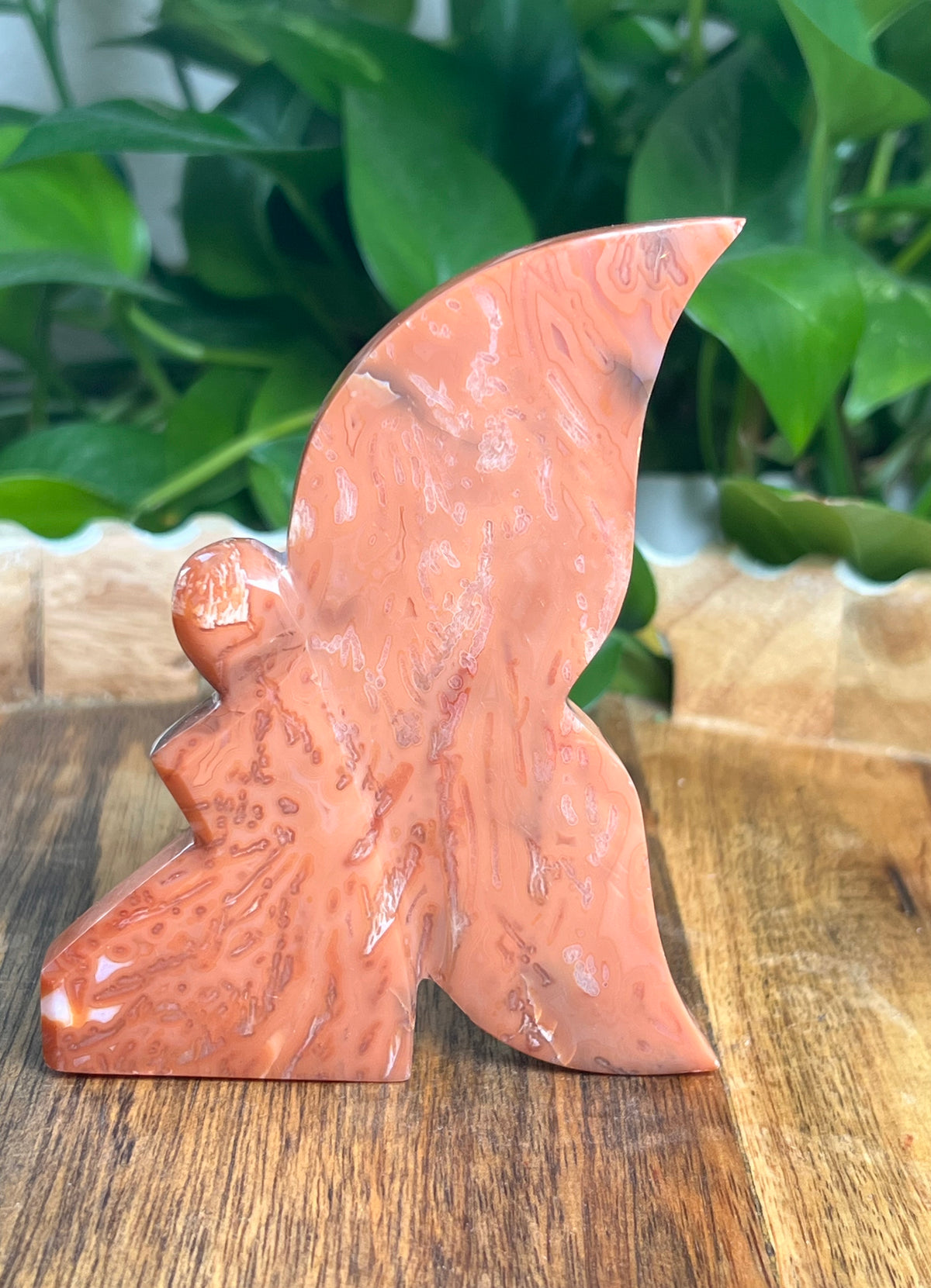 Carnelian Fairy: K