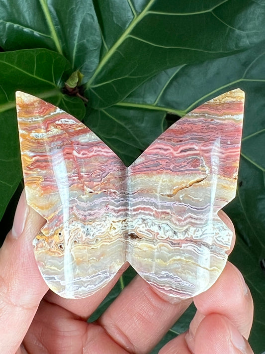 3D Butterfly Crazy Lace Agate