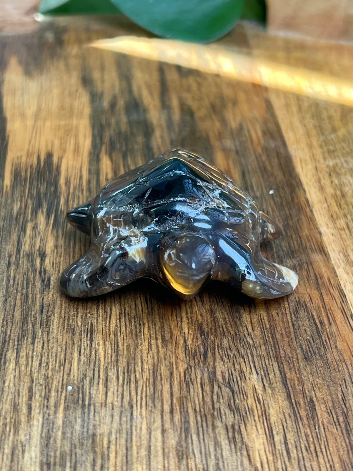 Amber Turtle: A