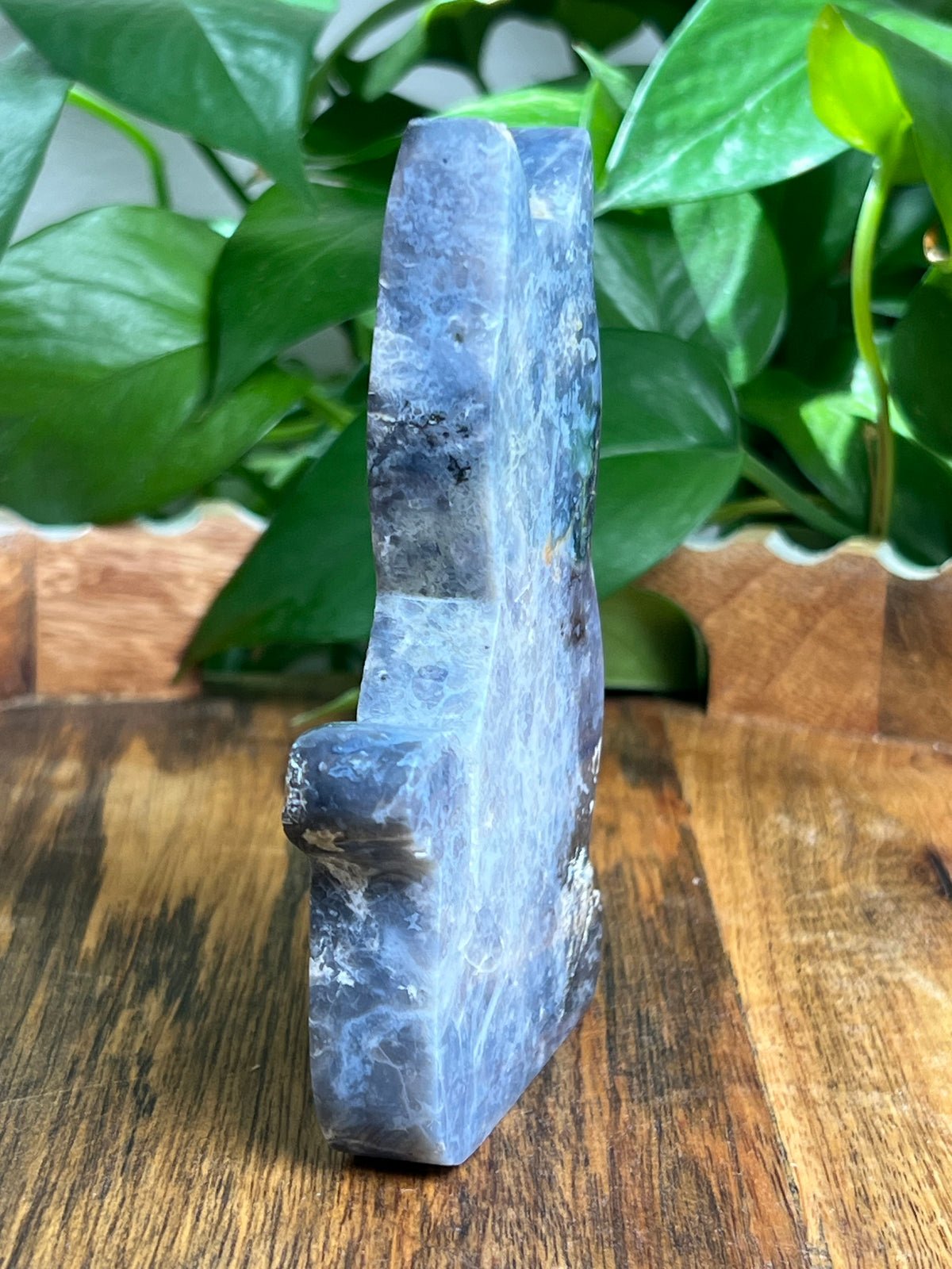Blue Plume Agate Cat: MA