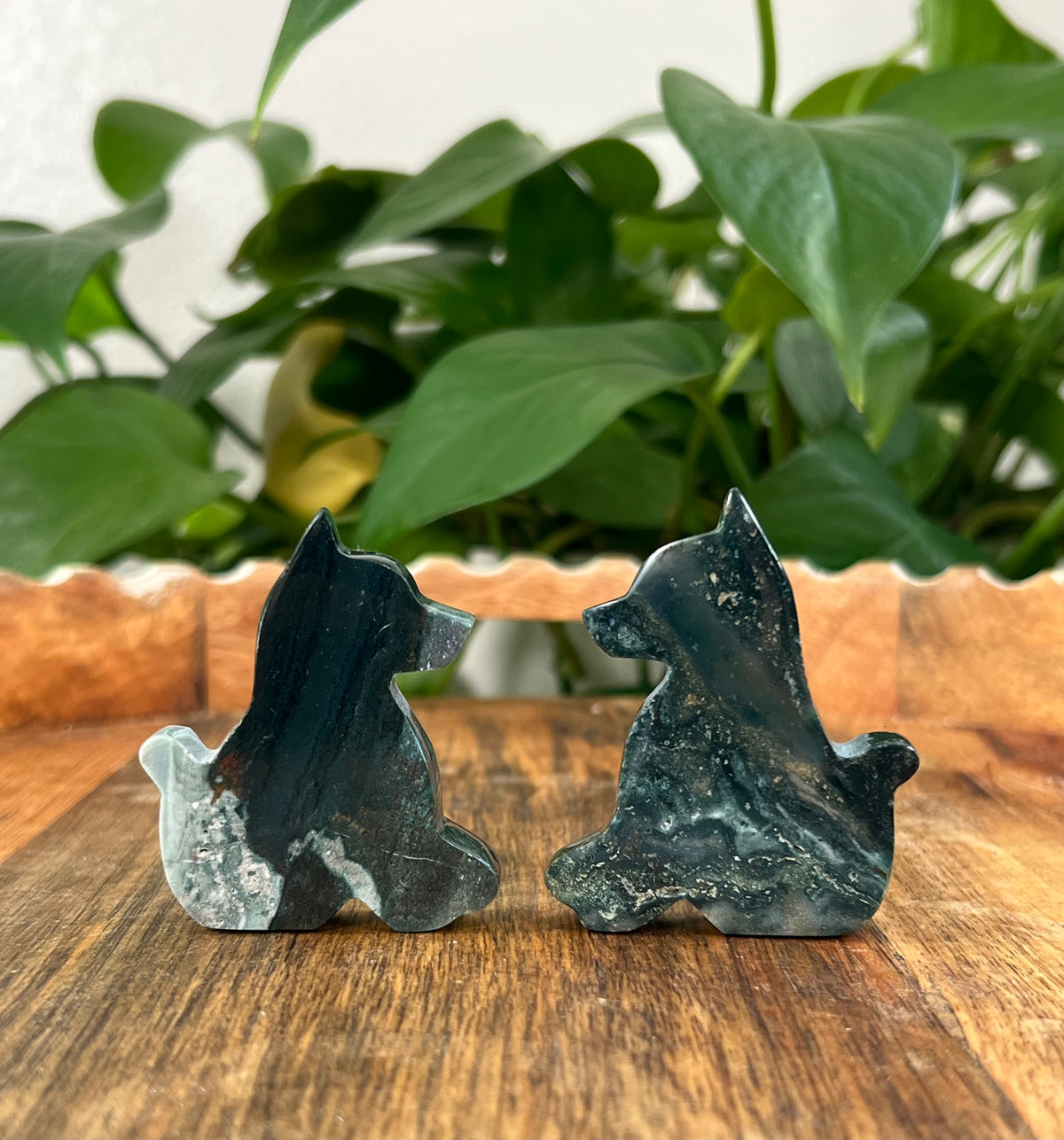 Blue Green Jasper Dogs