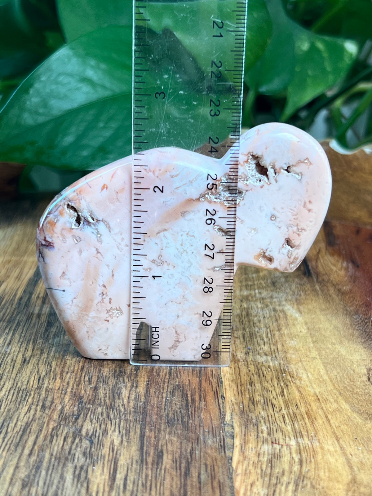Pink Carnelian Buffalo: VD
