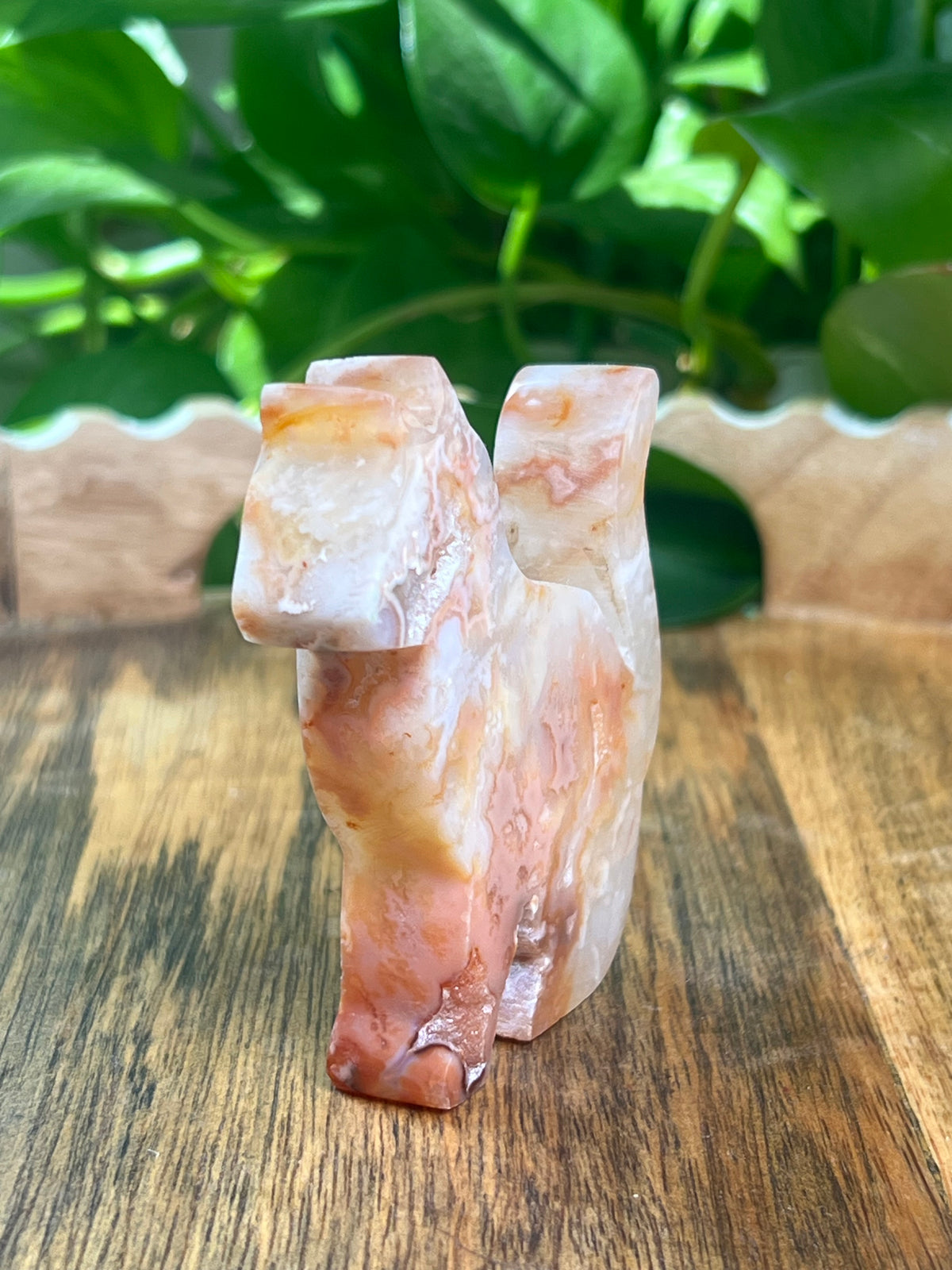 Carnelian Cat: PE