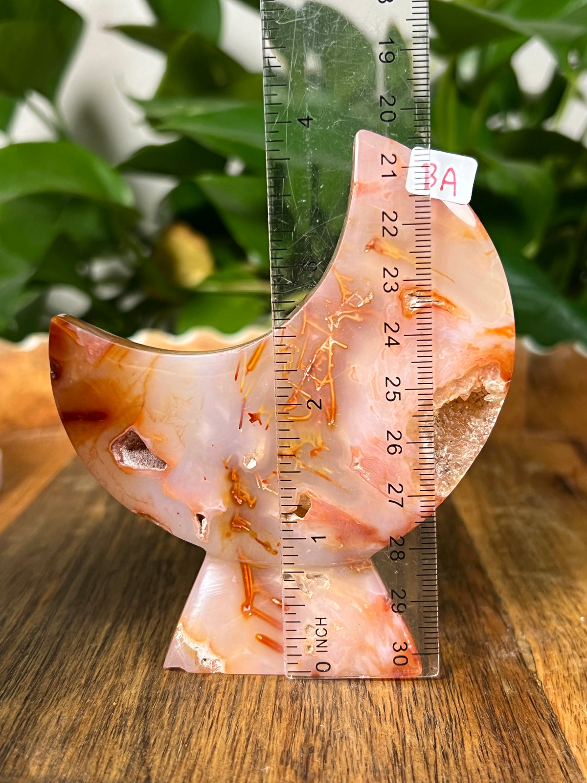 Carnelian Self Standing Moons