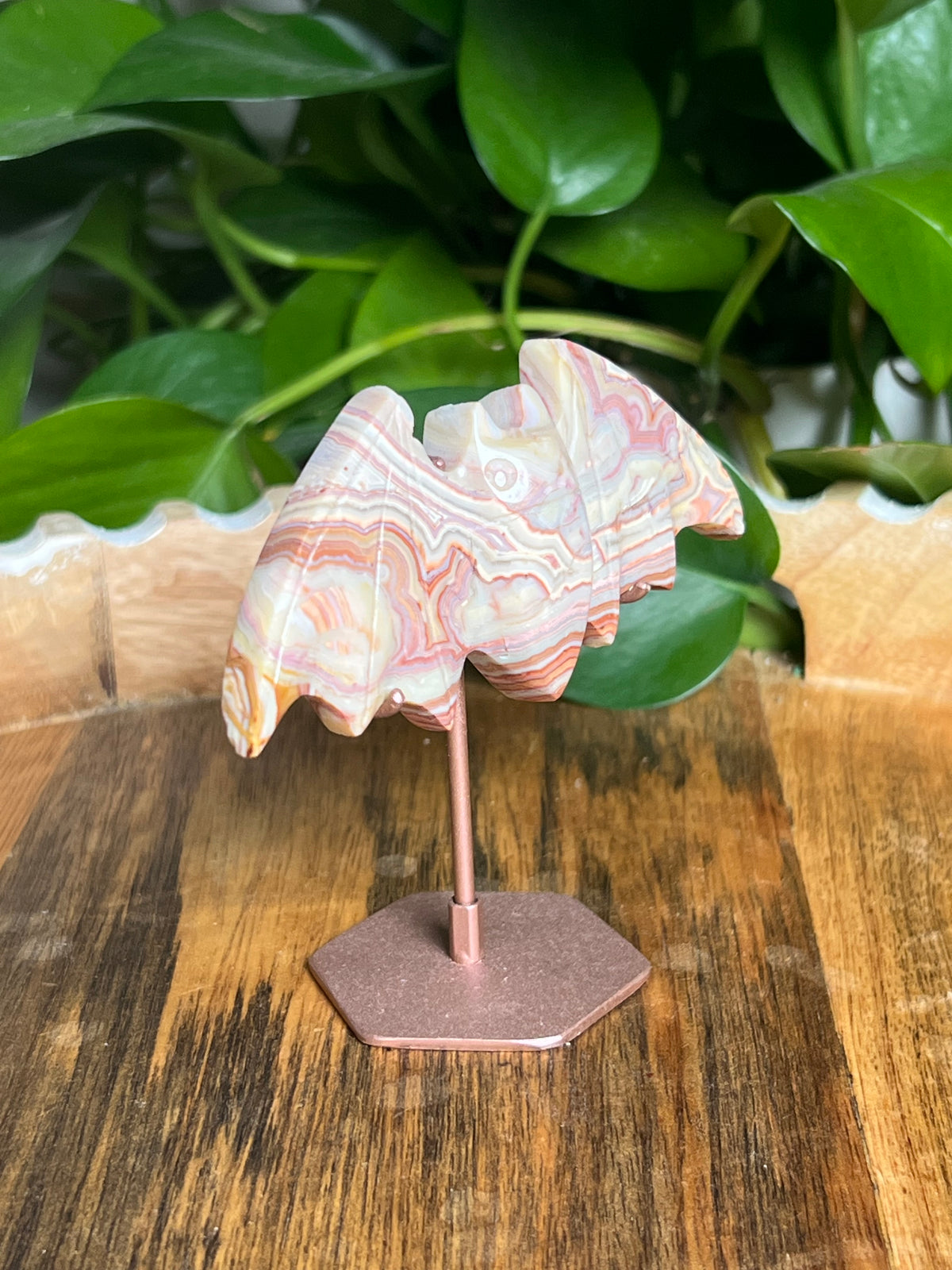 Crazy Lace Agate Bat: A
