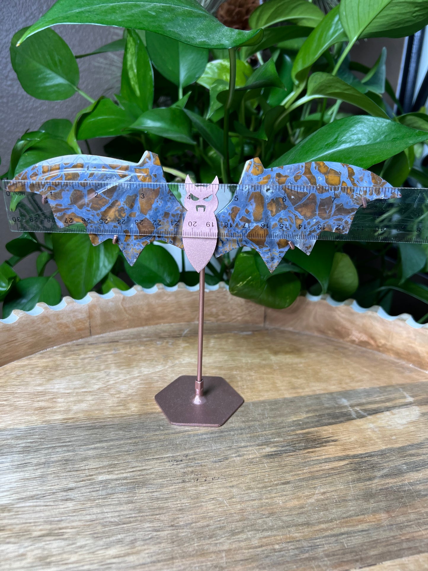 Brecciated Jasper Bat Wings
