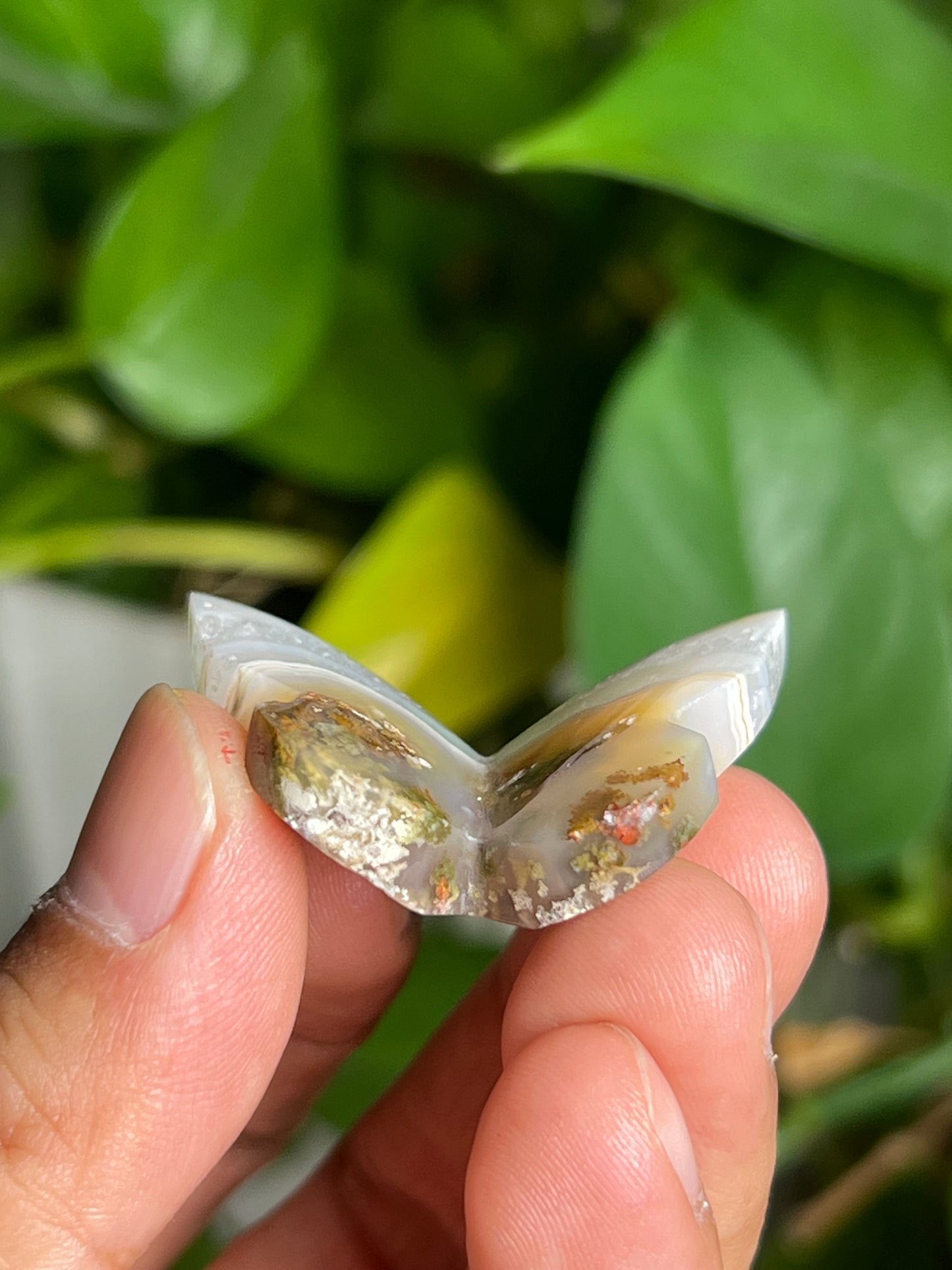Scenic Moss Agate 3D Butterfly A