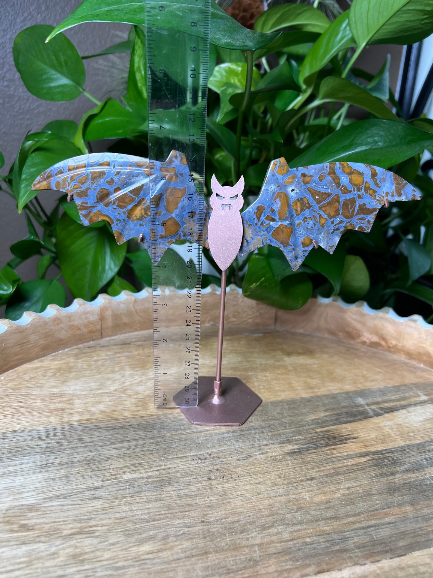 Brecciated Jasper Bat Wings