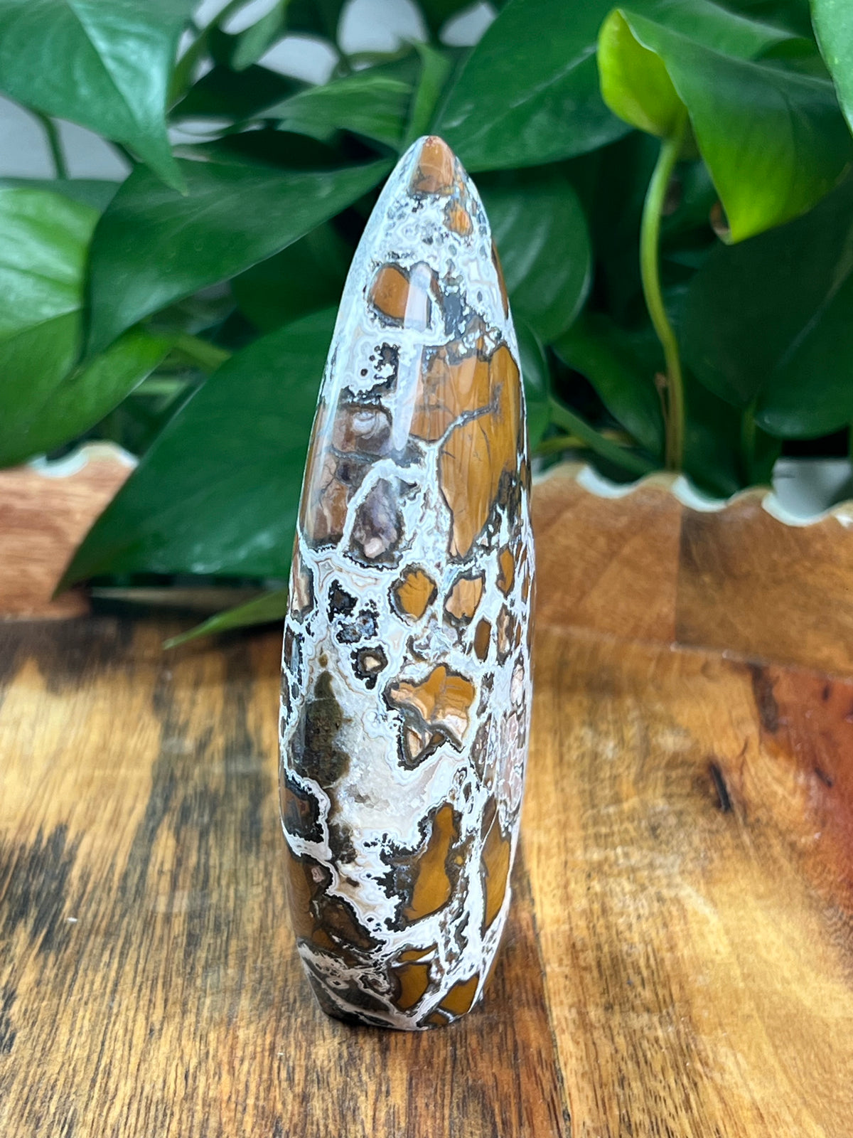 Brecciated Jasper Flame: EB