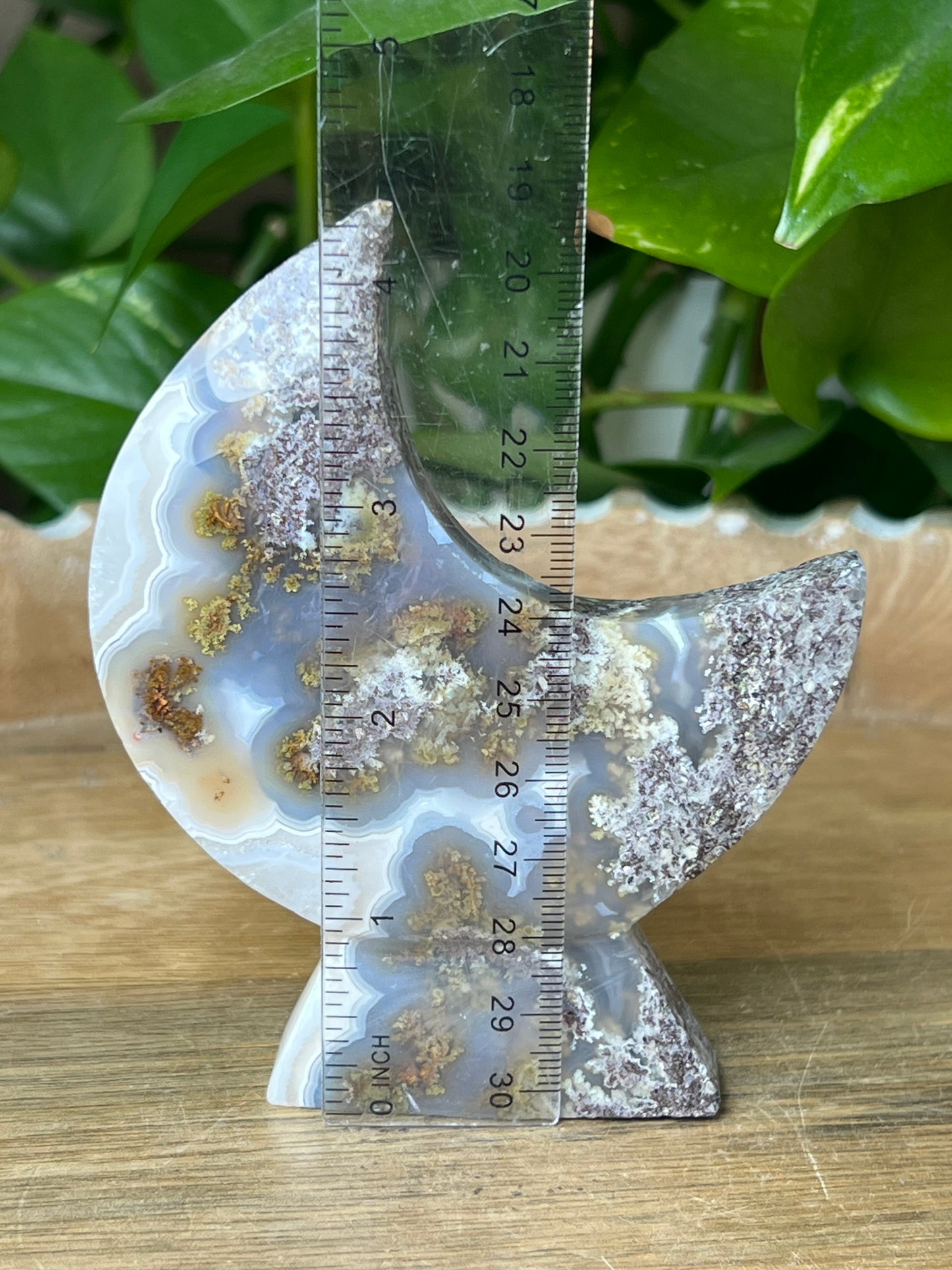 Scenic Moss Agate Moon Stand: XE