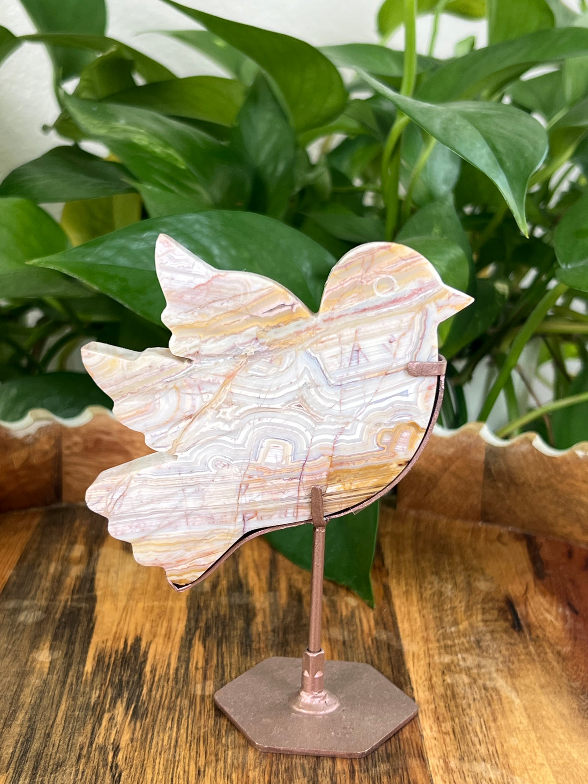 Crazy Lace Agate Birds
