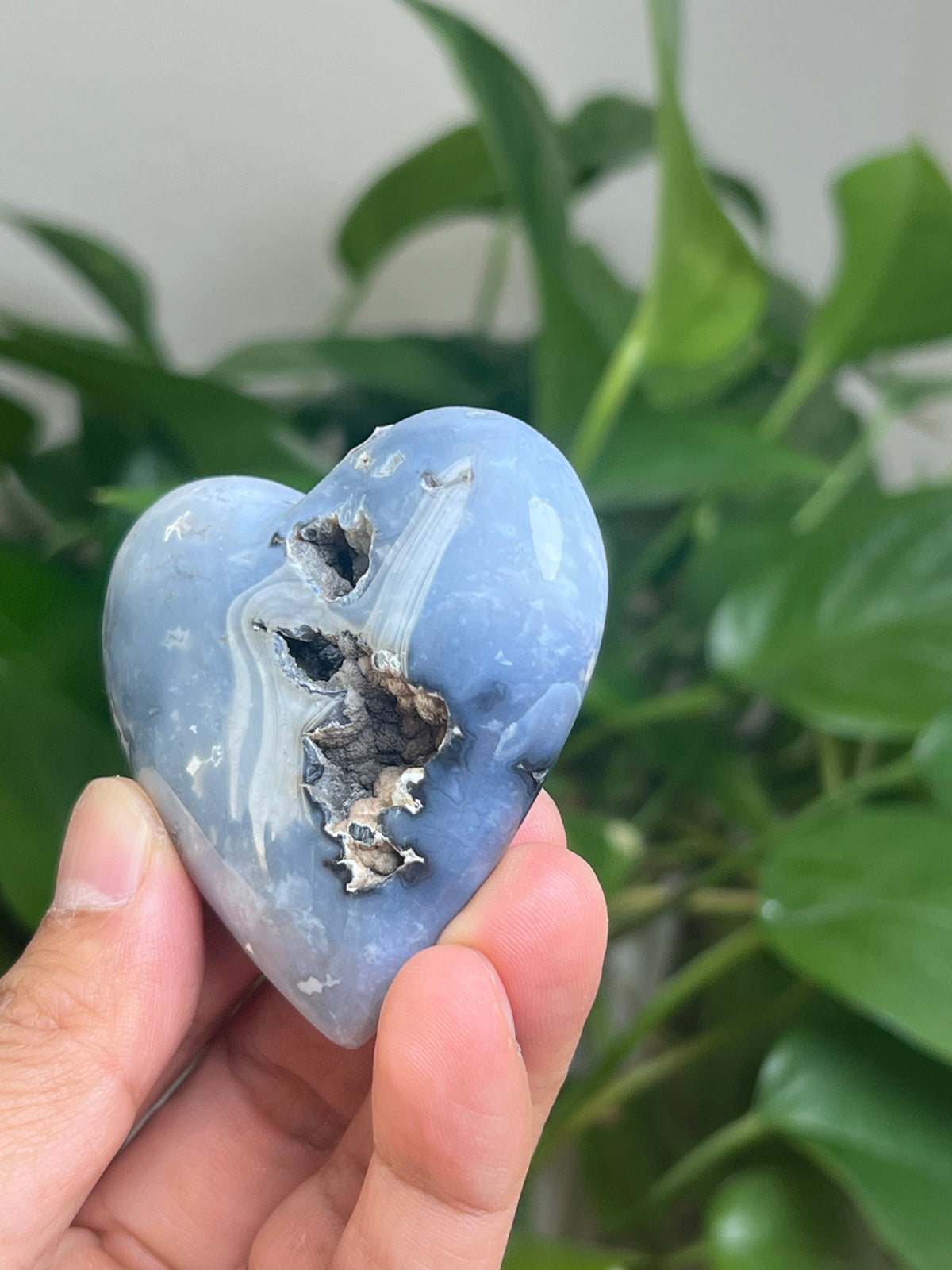 Blue Plume Agate Palmstone: Ri