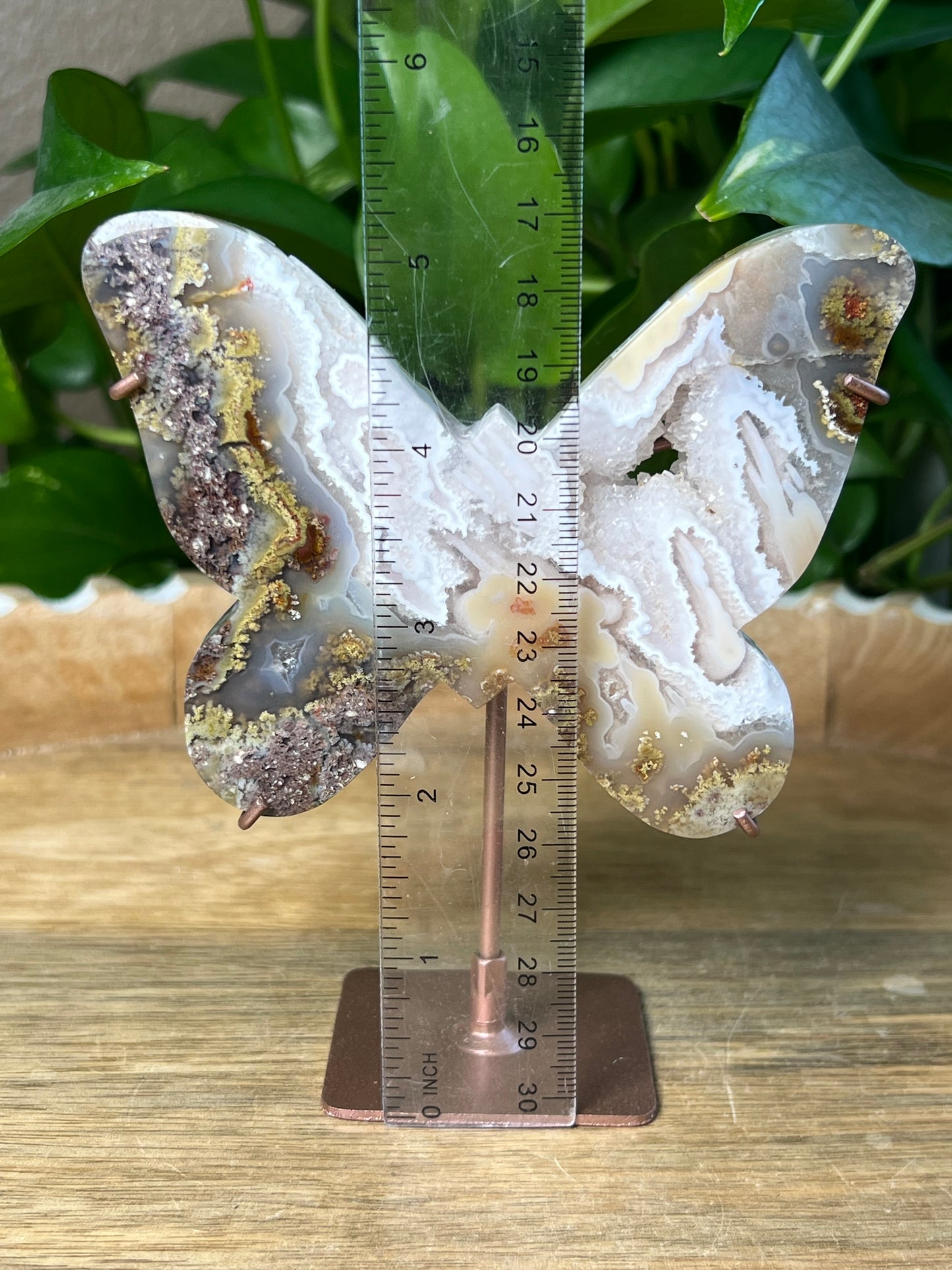 Scenic Moss Agate Butterfly