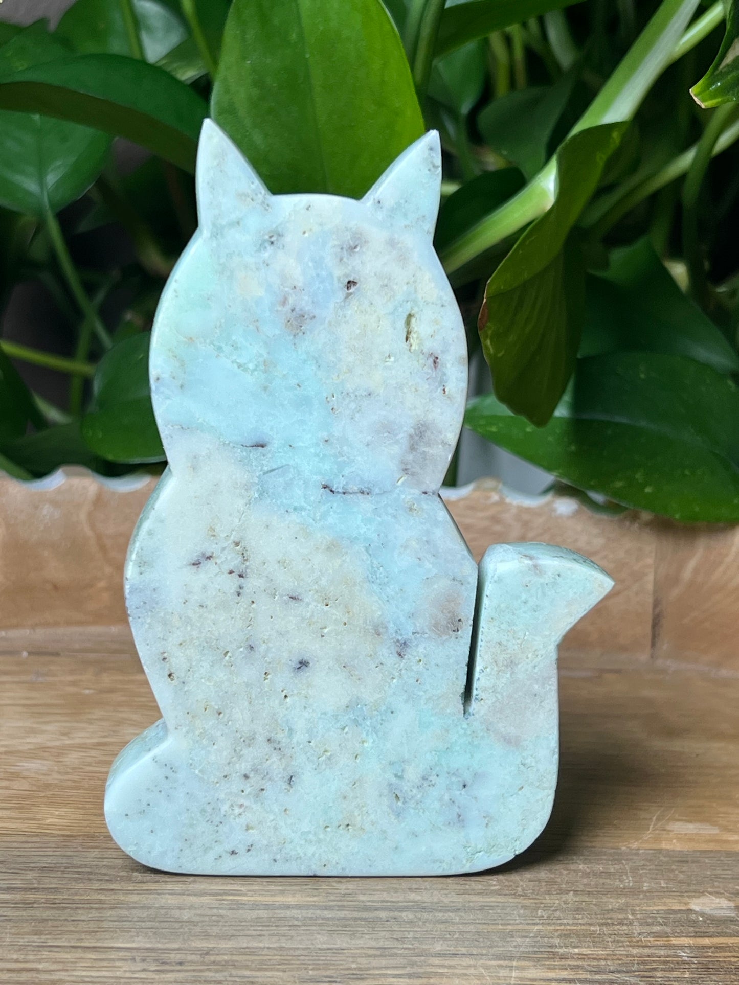 Chrysoprase Cat