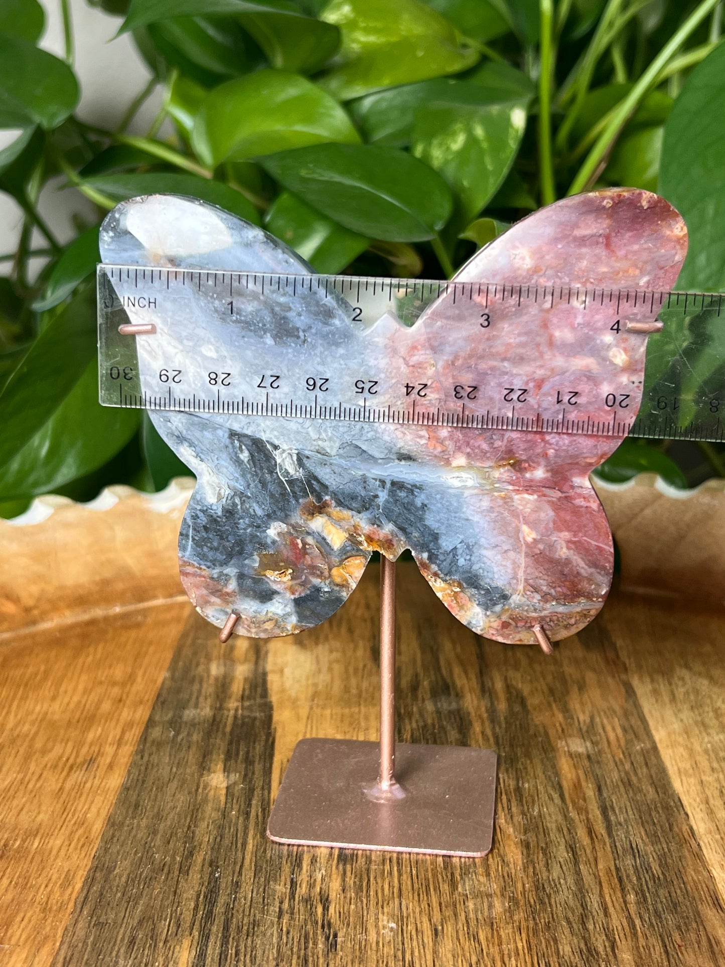 River Jasper Butterfly