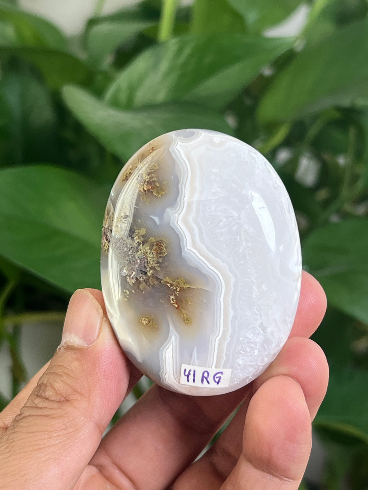 Scenic Moss Agate Palmstone: RG