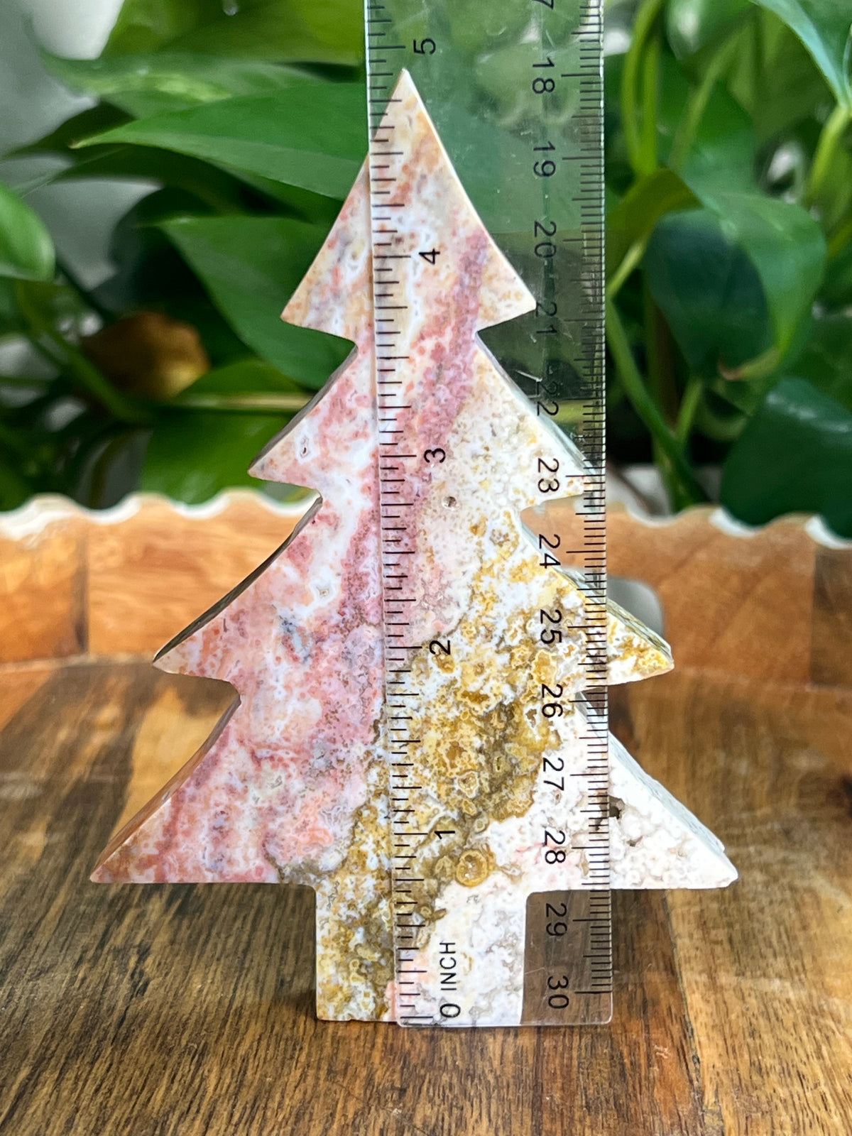 Sea Jasper Tree: AC