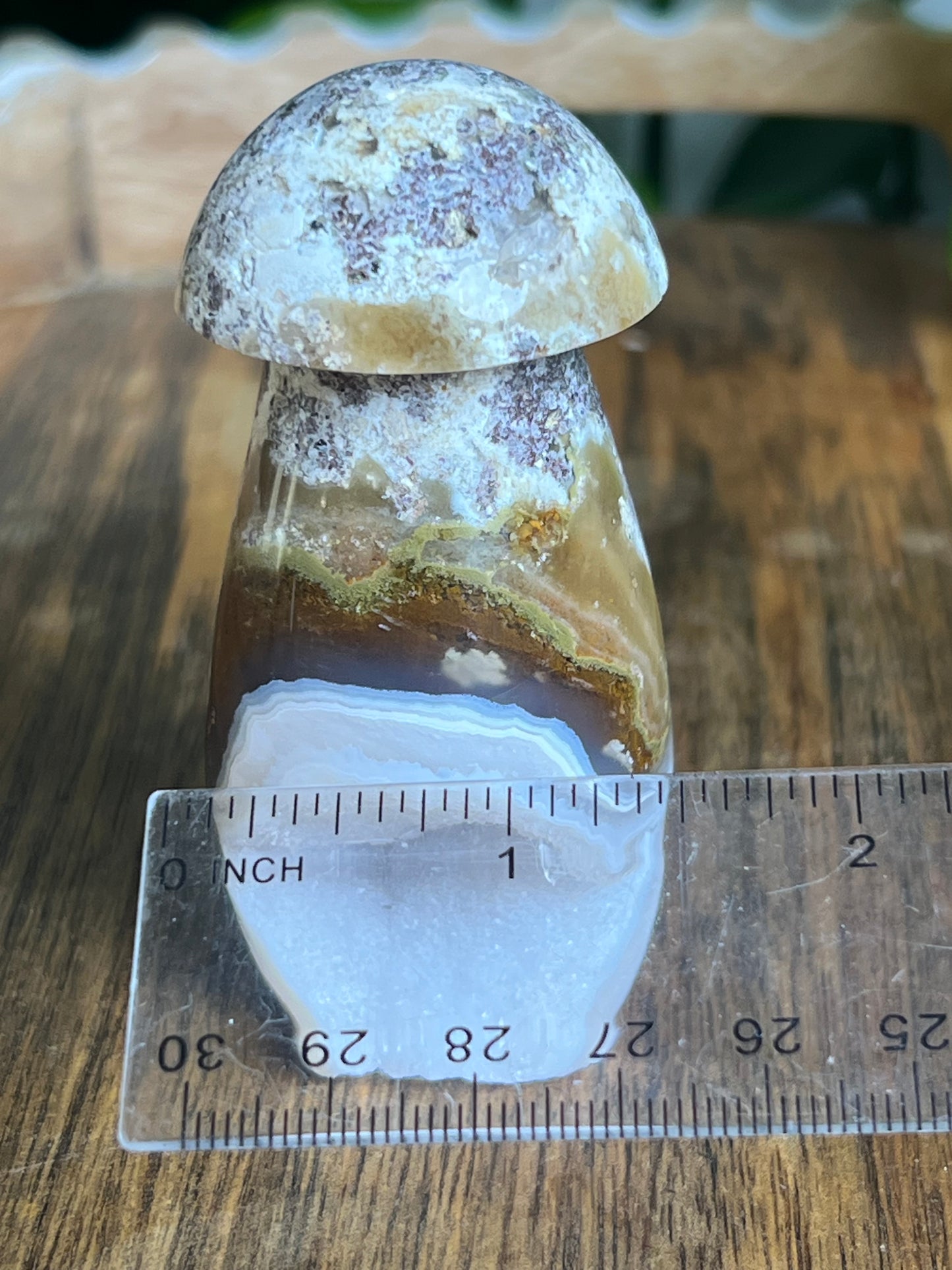 Scenic Moss Agate Mushroom