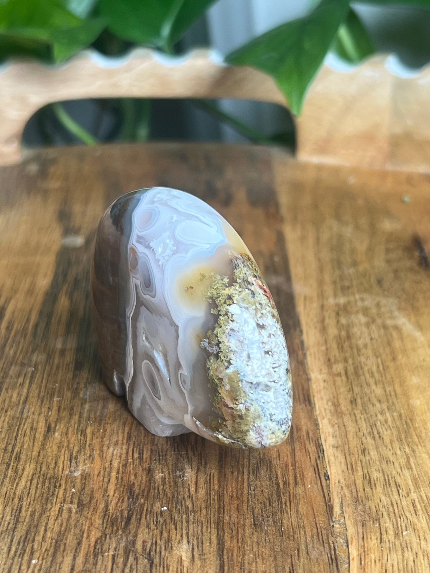 Scenic Moss Agate Bear BC