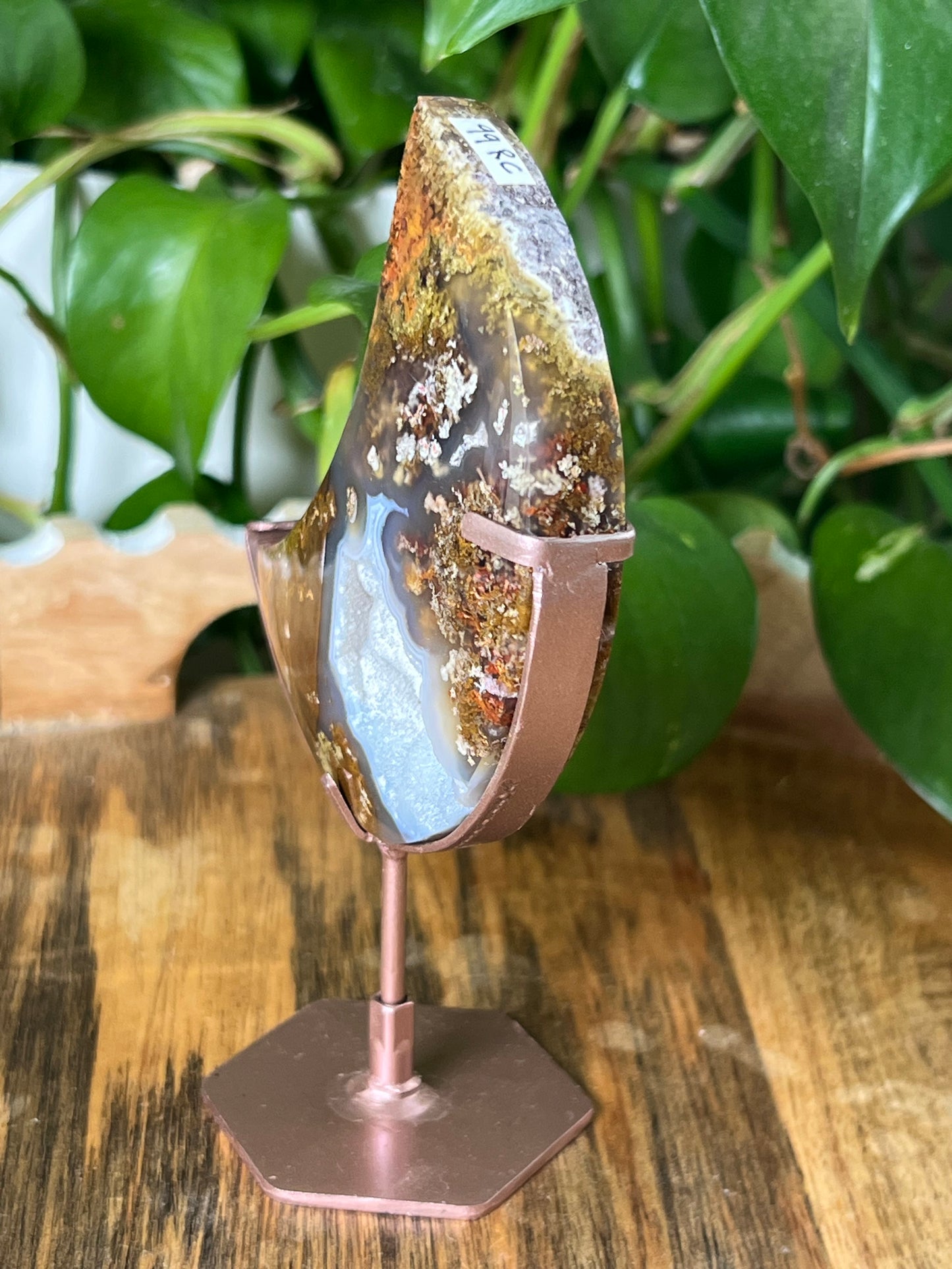 Scenic Moss Agate Moon