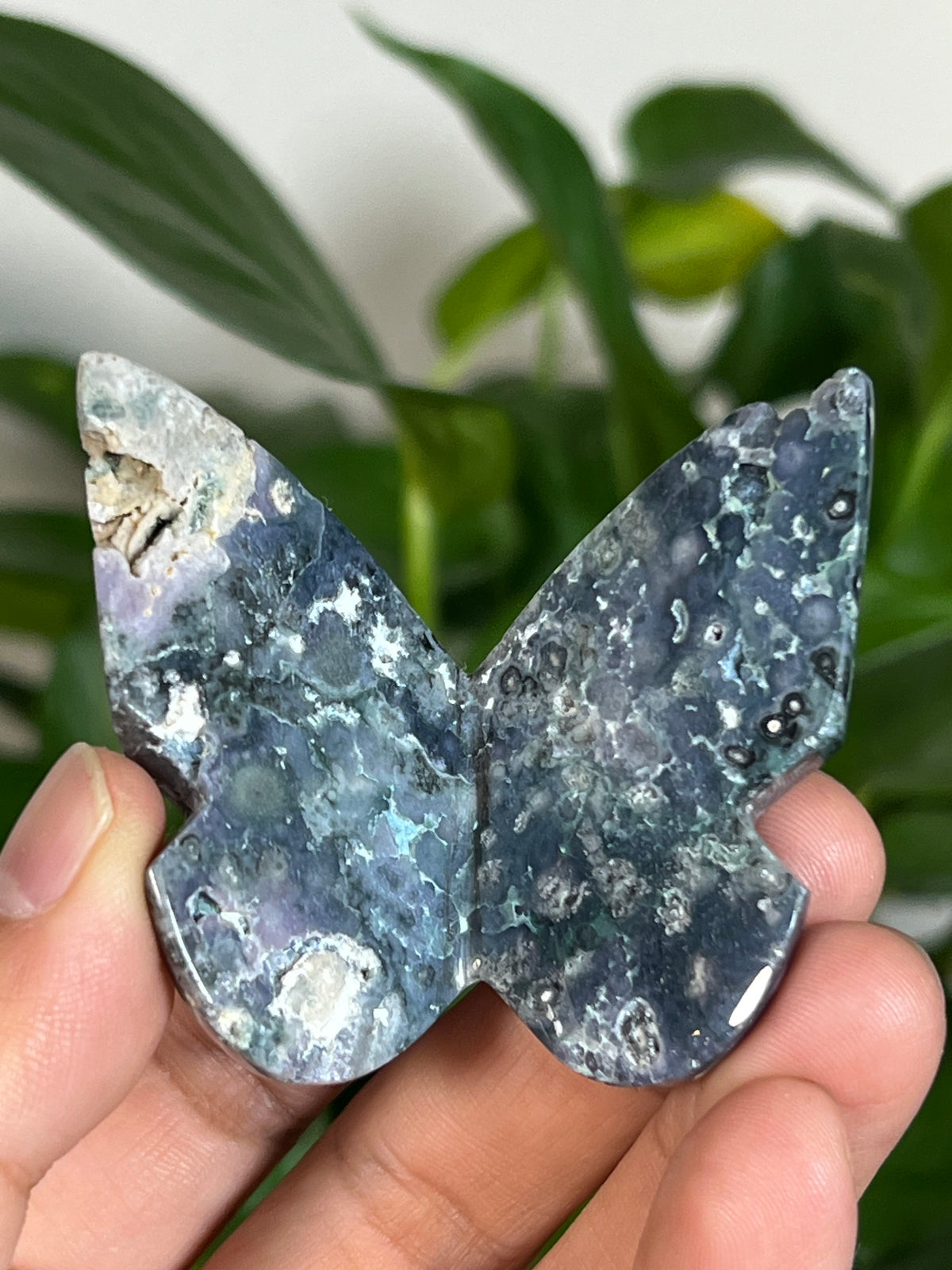 Grape Agate 3D Butterflies