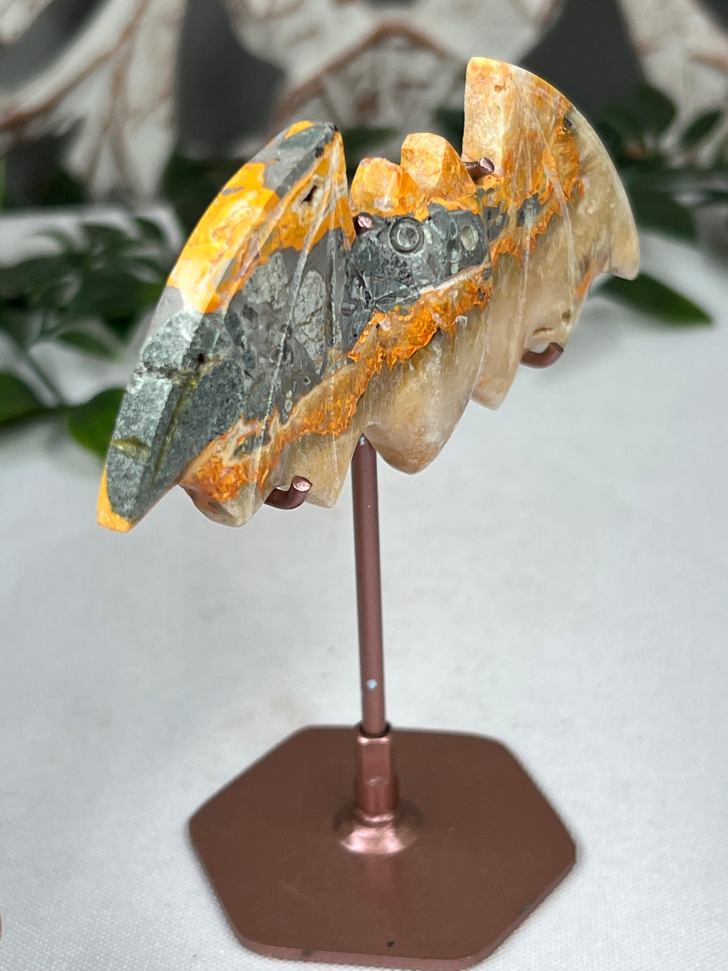 Bumblebee Jasper Bat