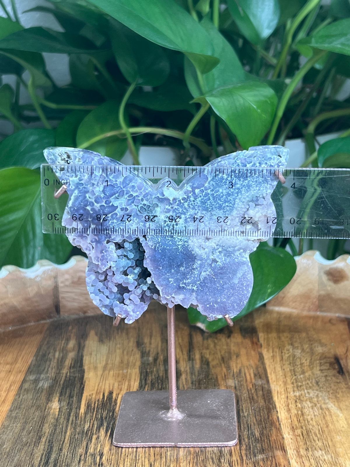 Grape Agate Butterfly: AD