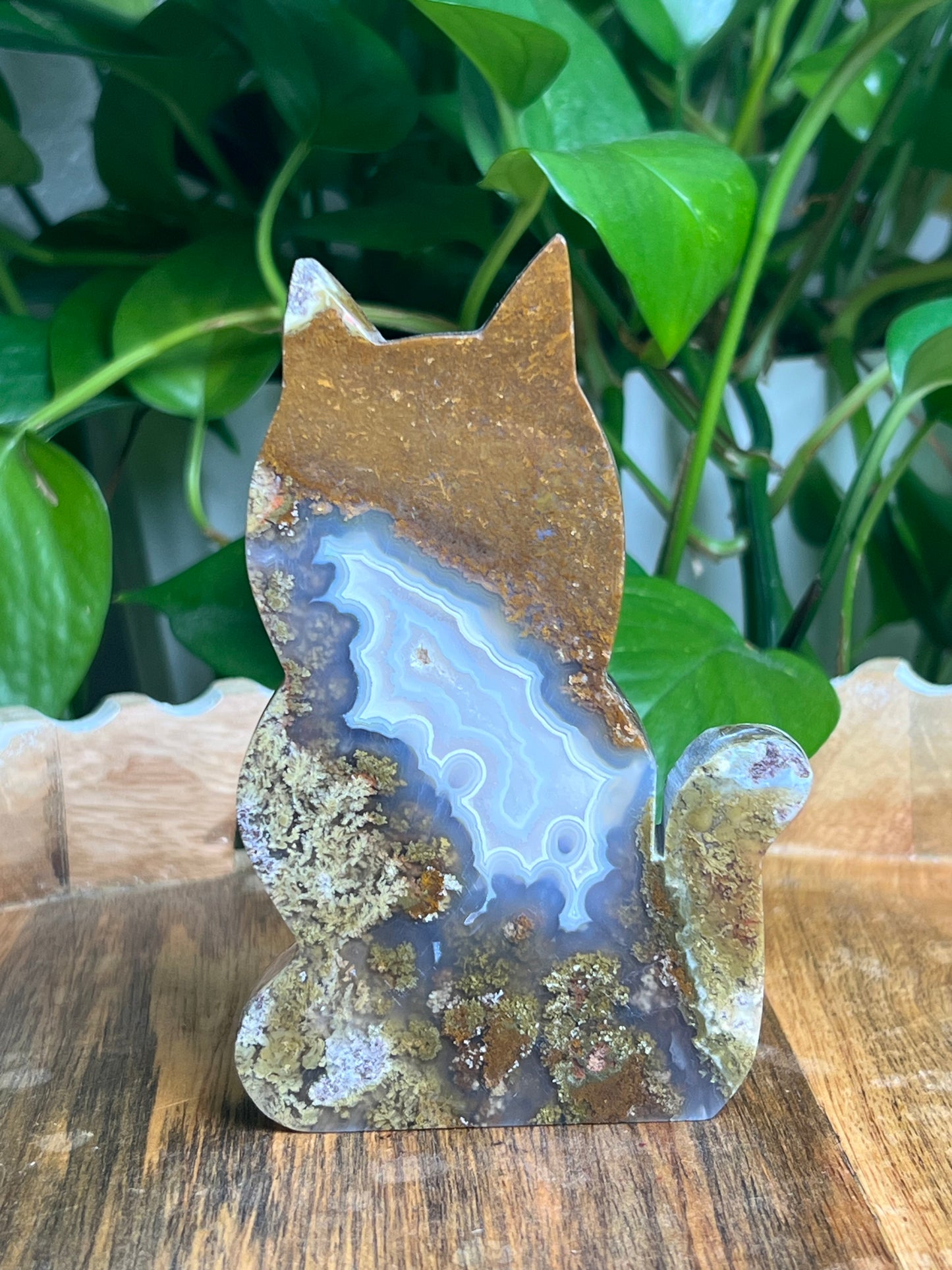 Scenic Moss Agate Cat: AB
