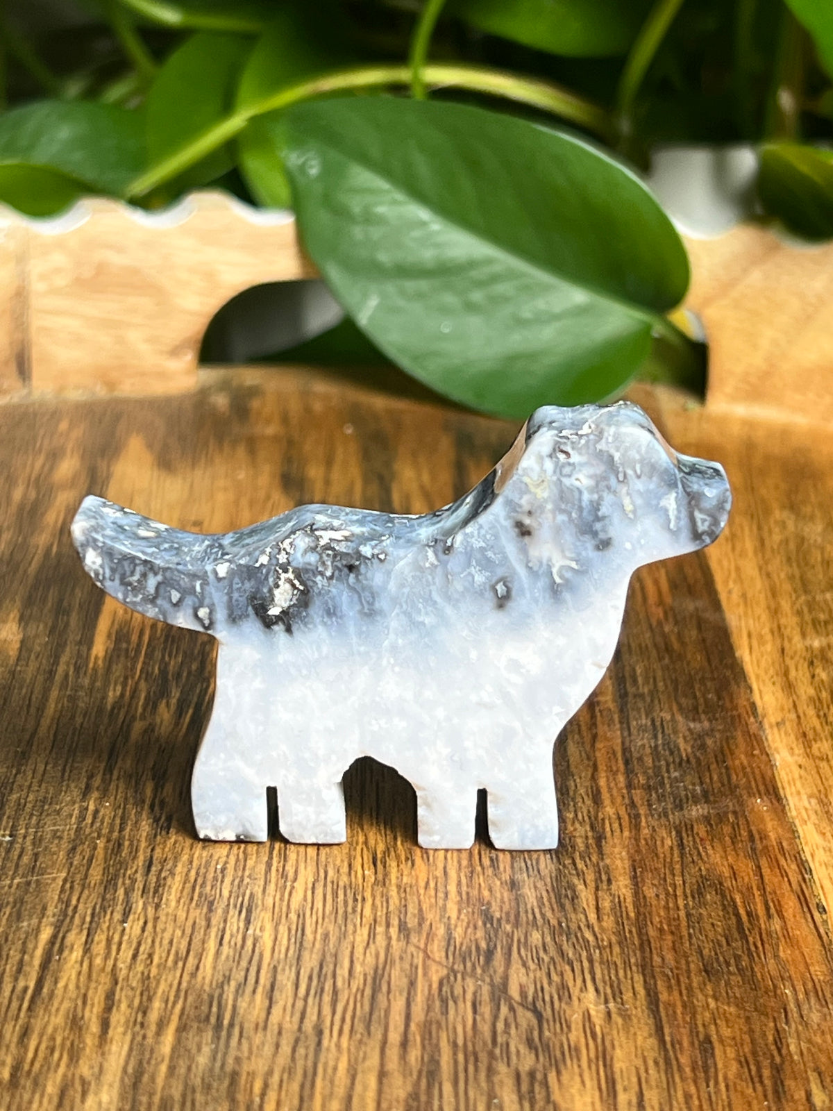 Blue Plume Agate Dog: BA