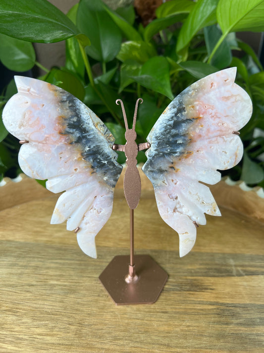 Rainbow Plume Agate Wings