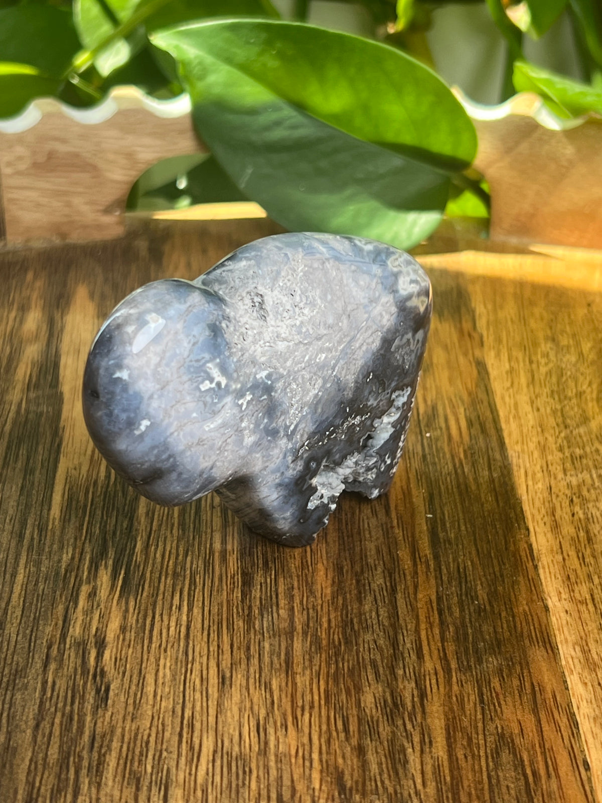 Blue Plume Agate Buffalo: BB